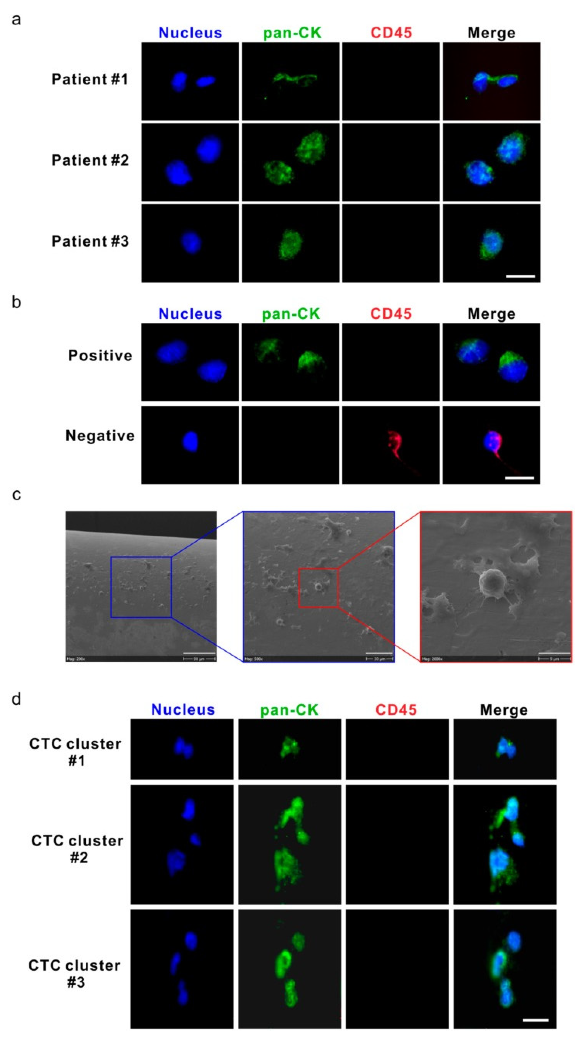 Preprints 100369 g002