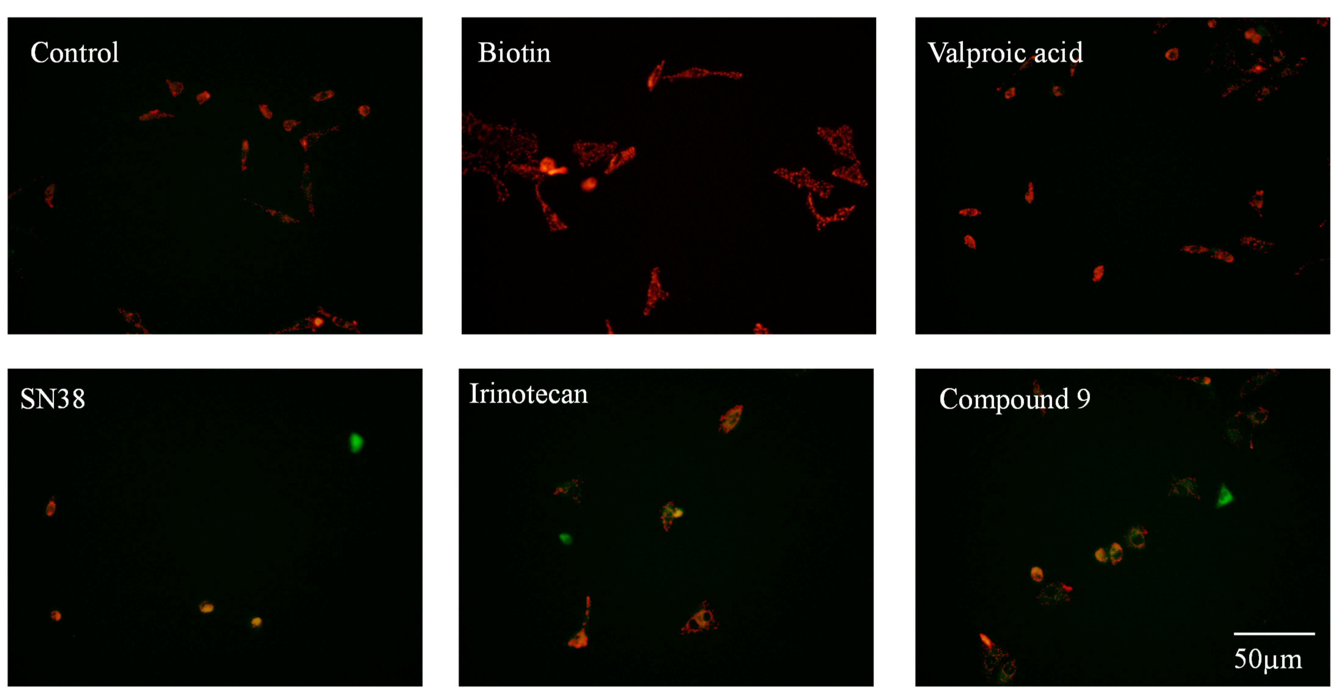 Preprints 71996 g002