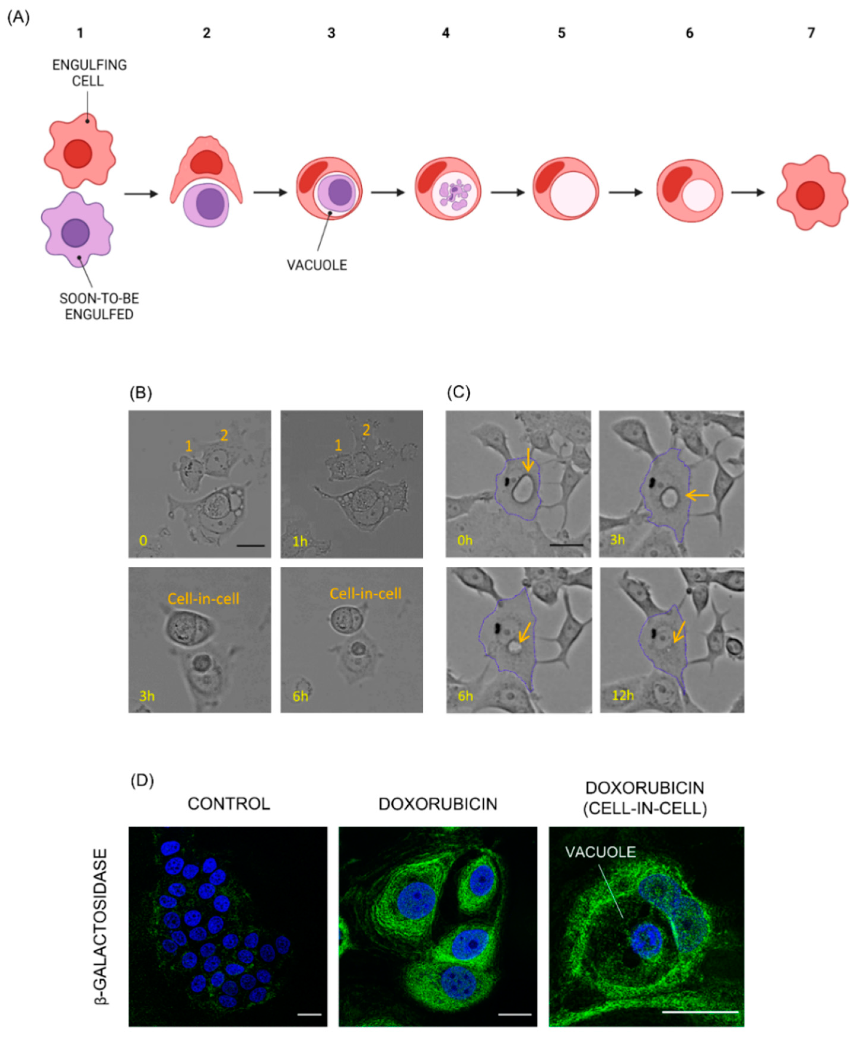 Preprints 87359 g001