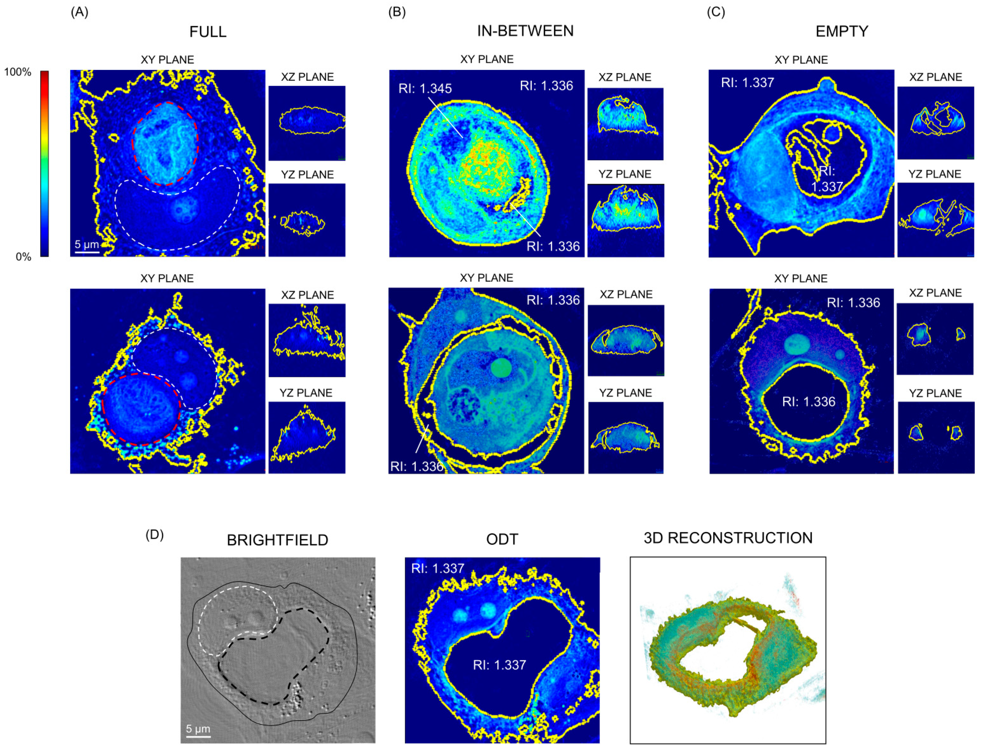 Preprints 87359 g002