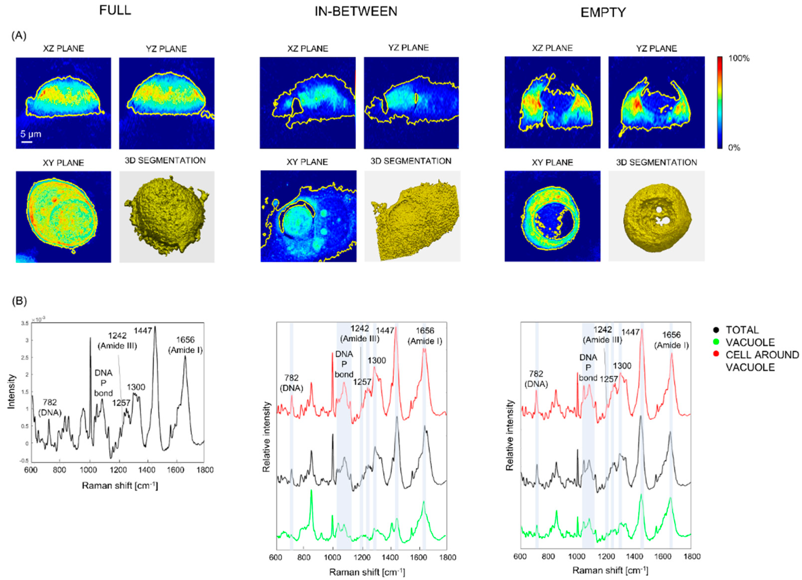 Preprints 87359 g003