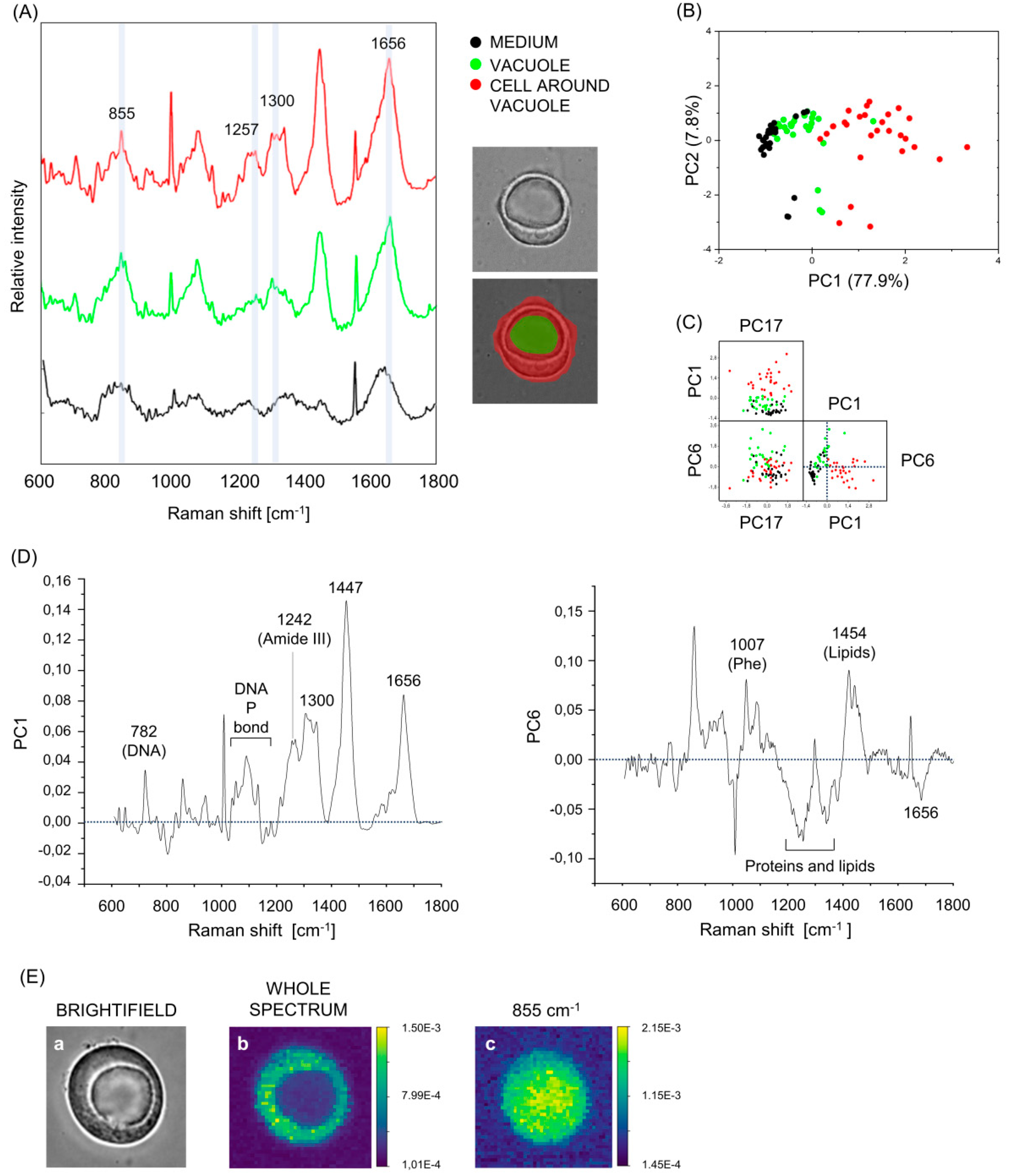 Preprints 87359 g004