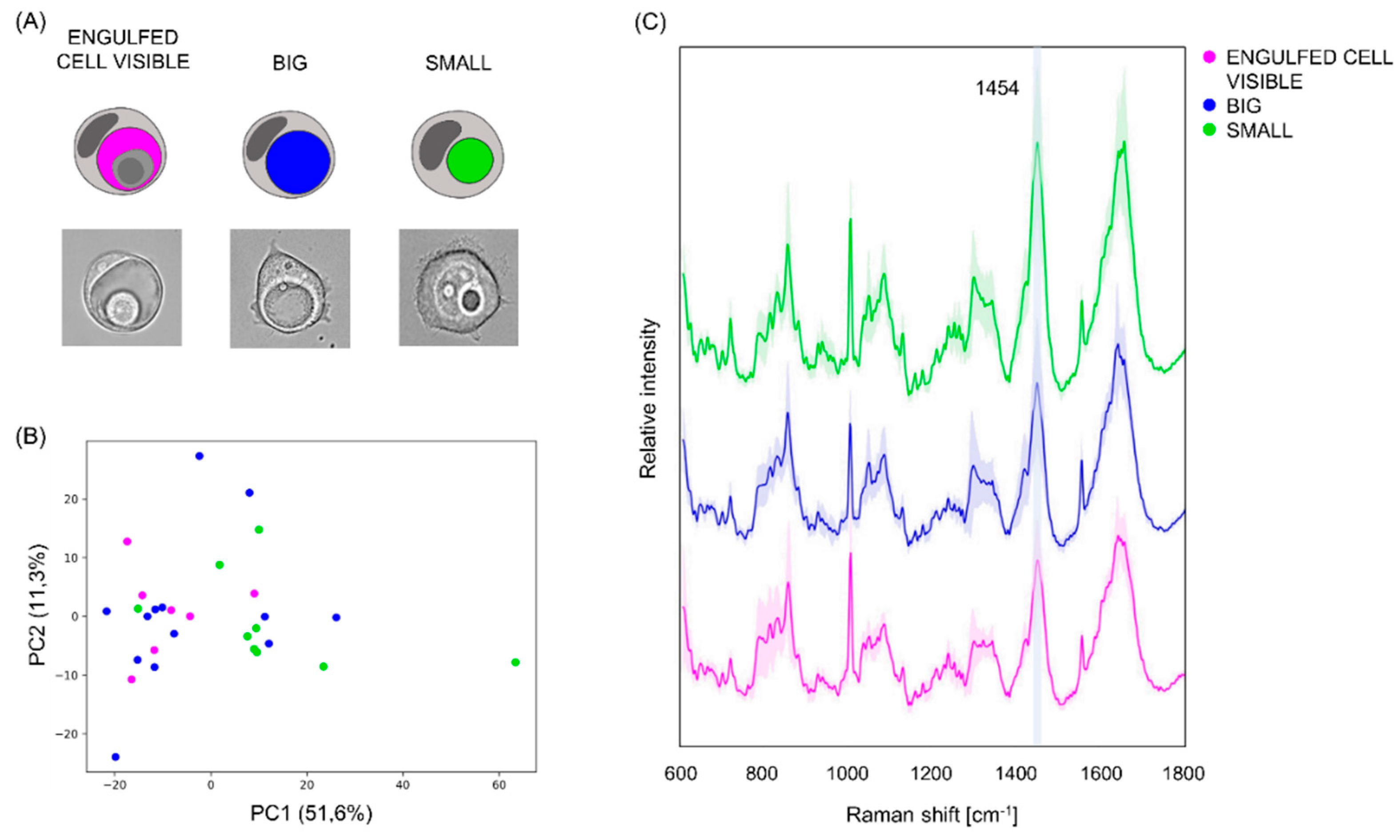 Preprints 87359 g005