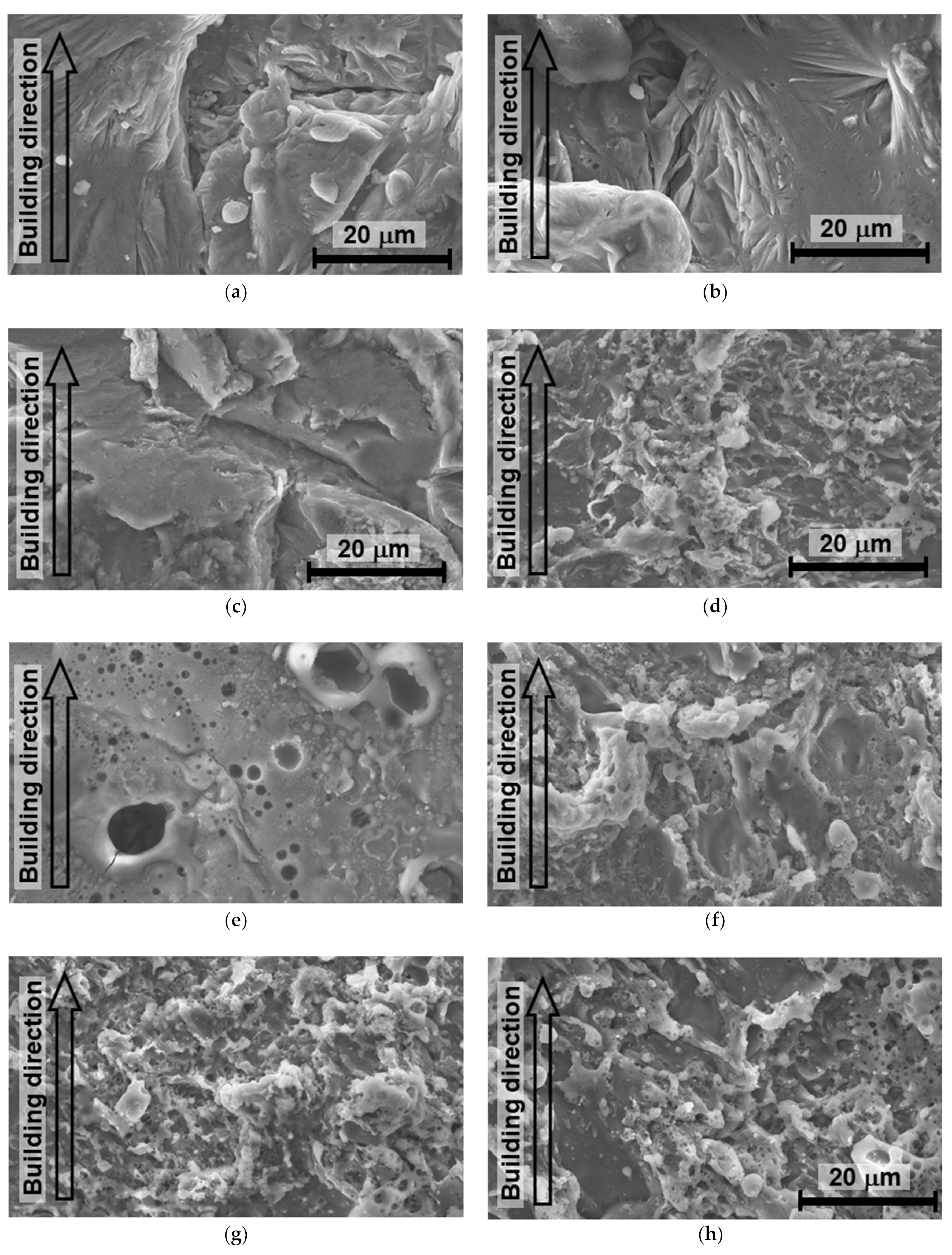 Preprints 113806 g013