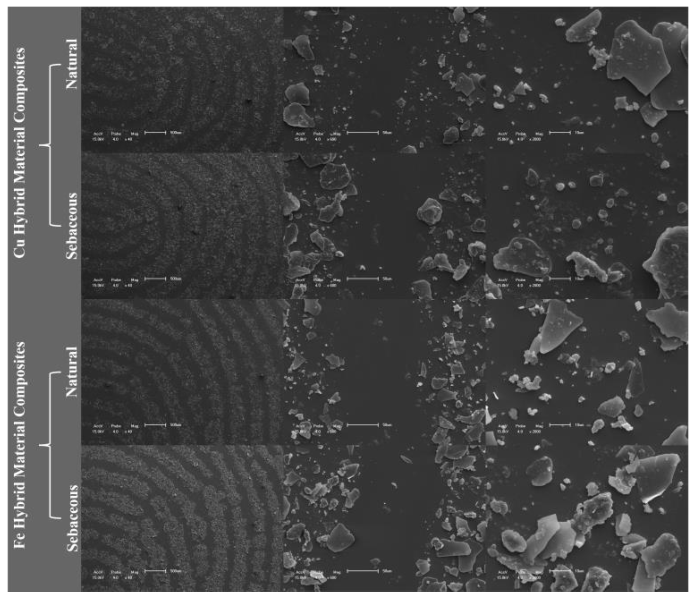 Preprints 120750 g010