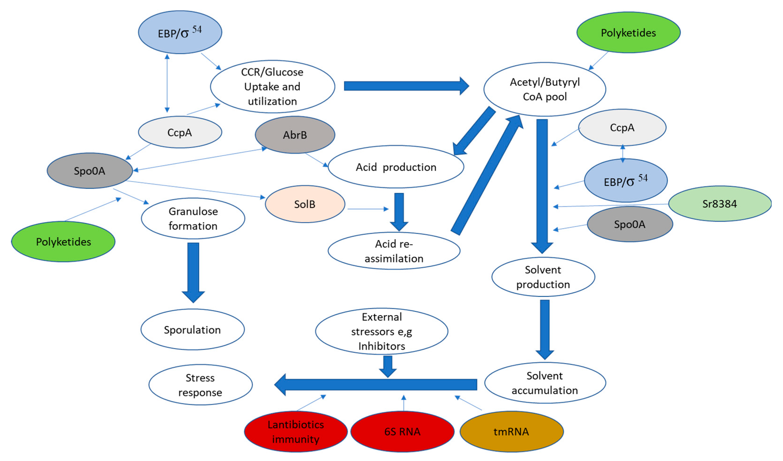 Preprints 101651 g002