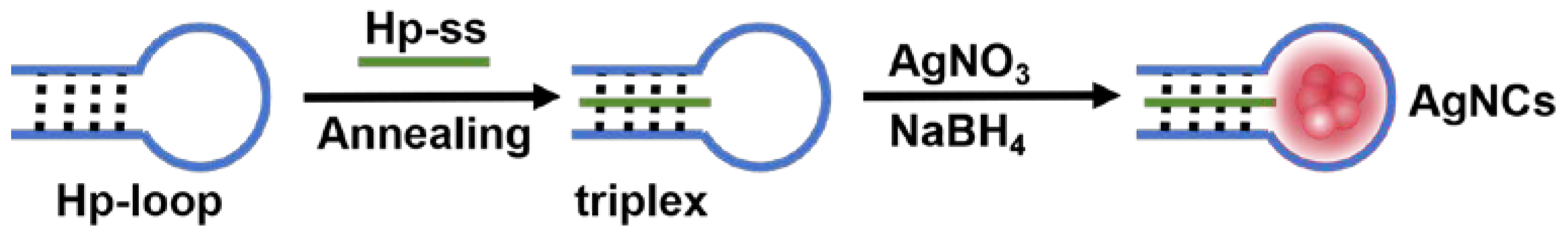 Preprints 109324 g001