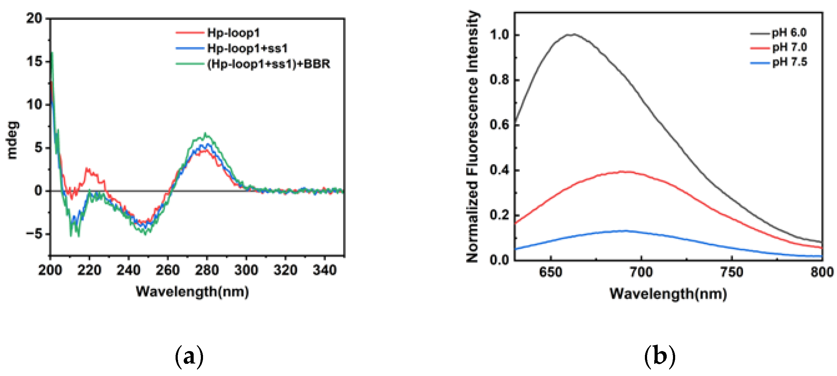 Preprints 109324 g003