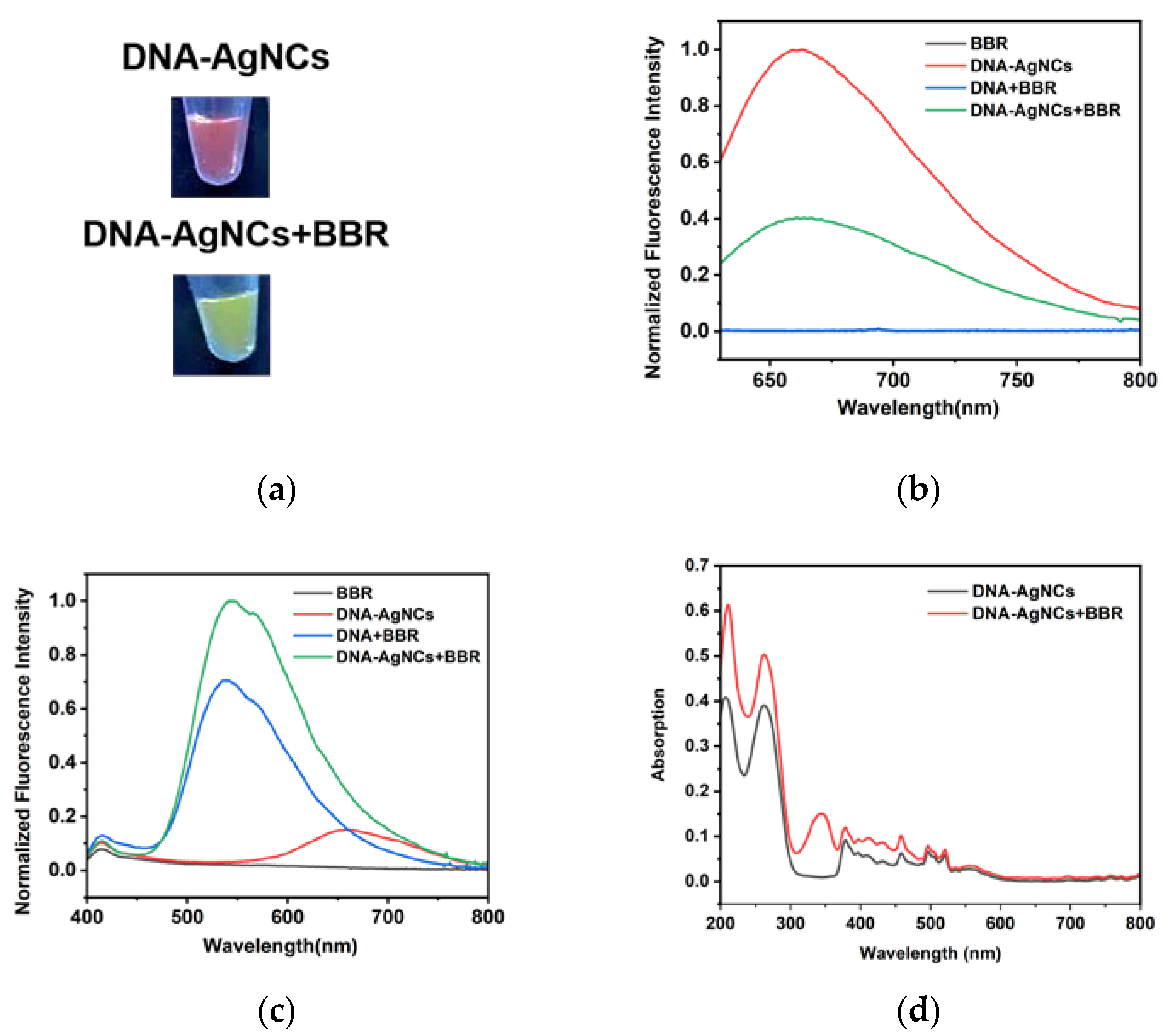 Preprints 109324 g004