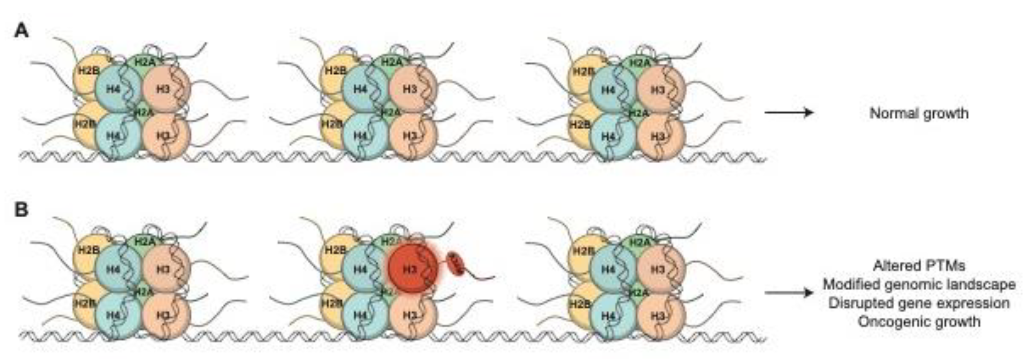 Preprints 87045 g001