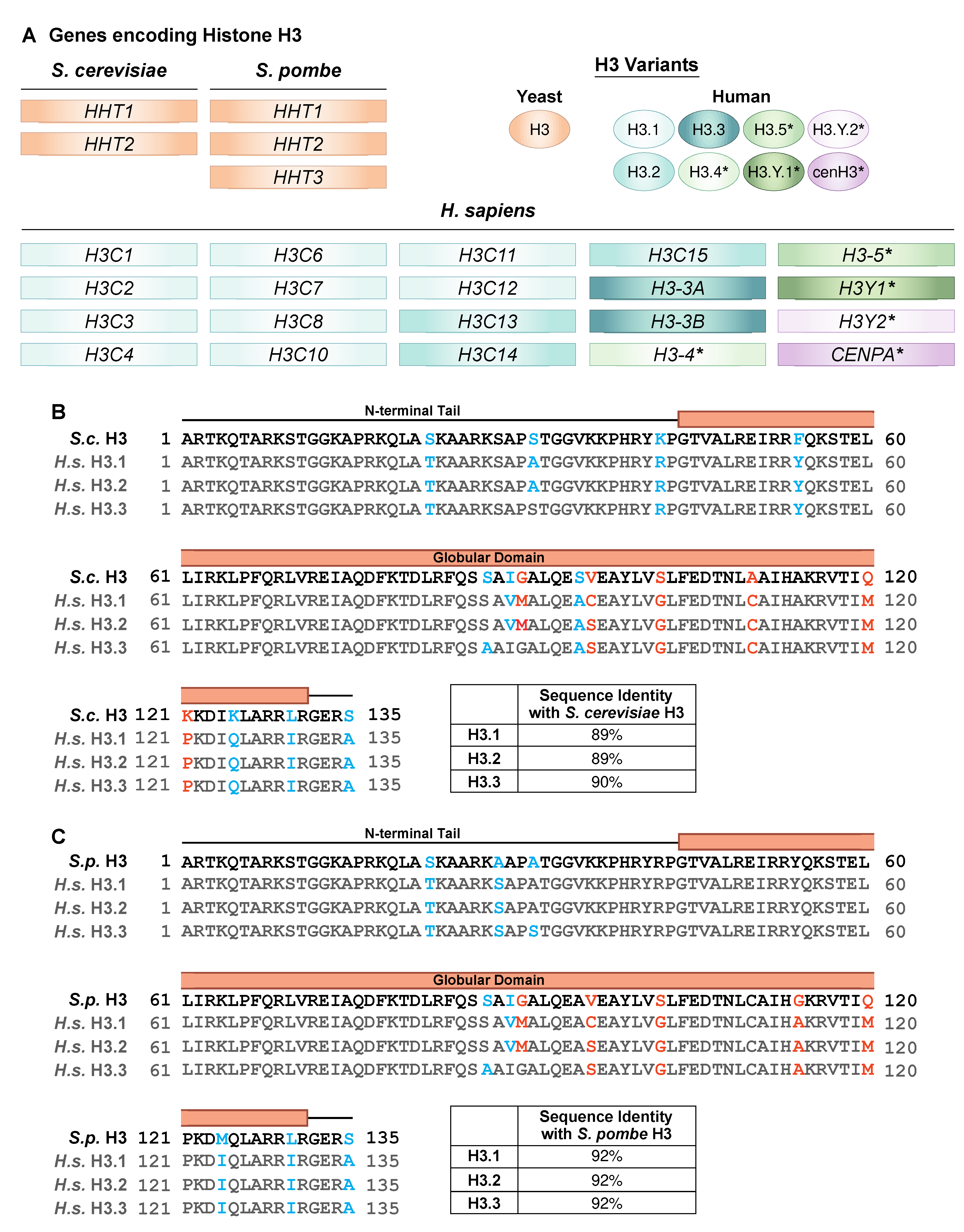 Preprints 87045 g002