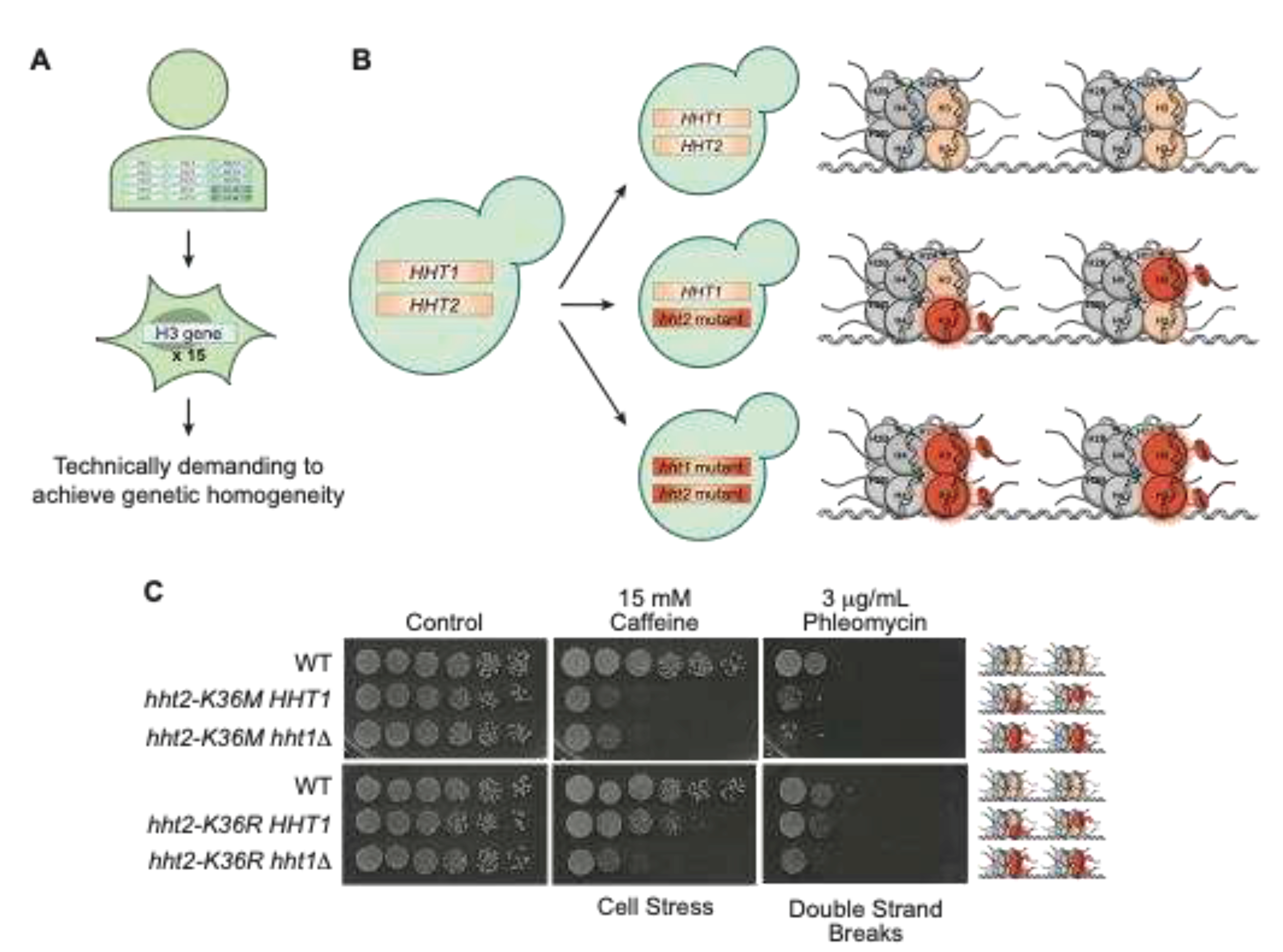 Preprints 87045 g004