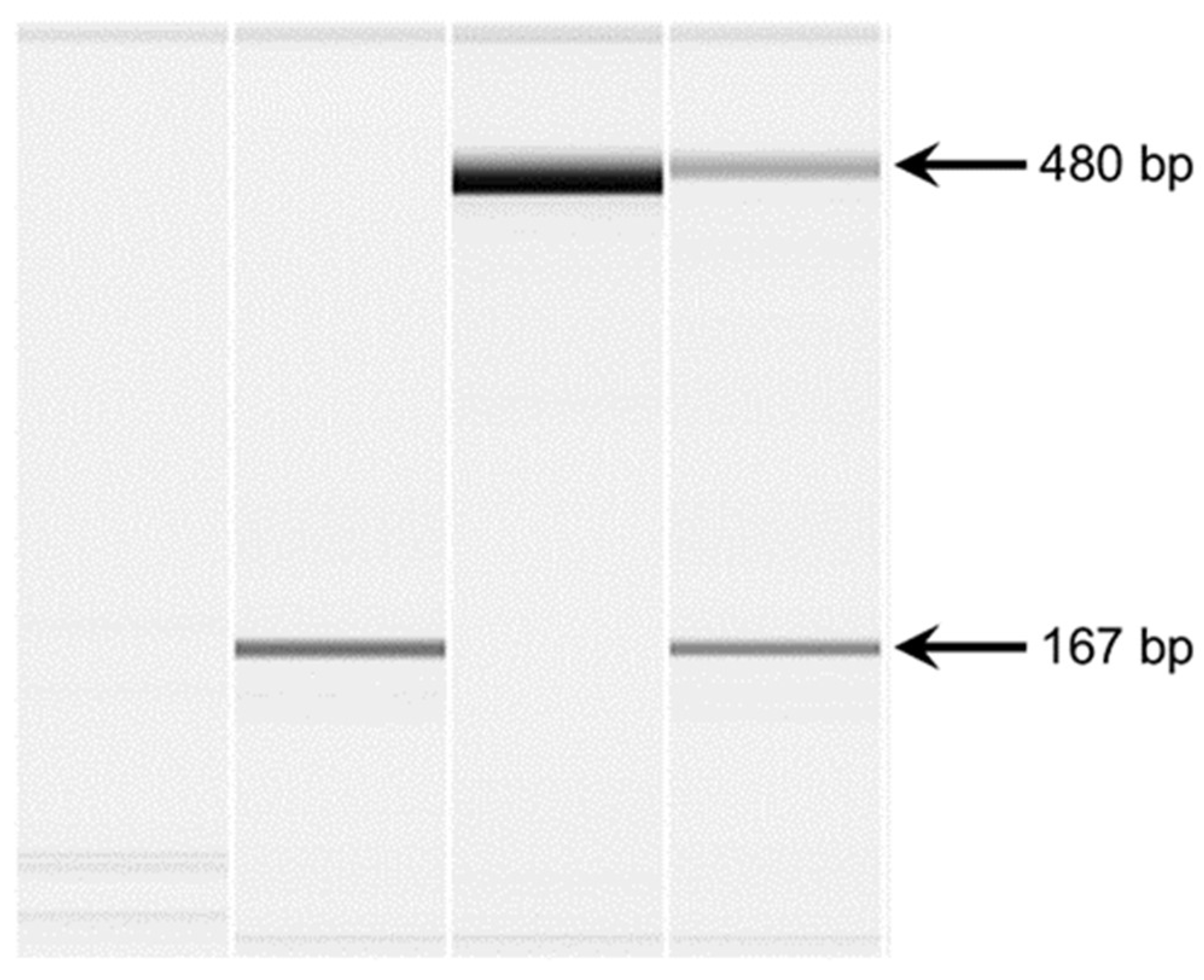 Preprints 137417 g004