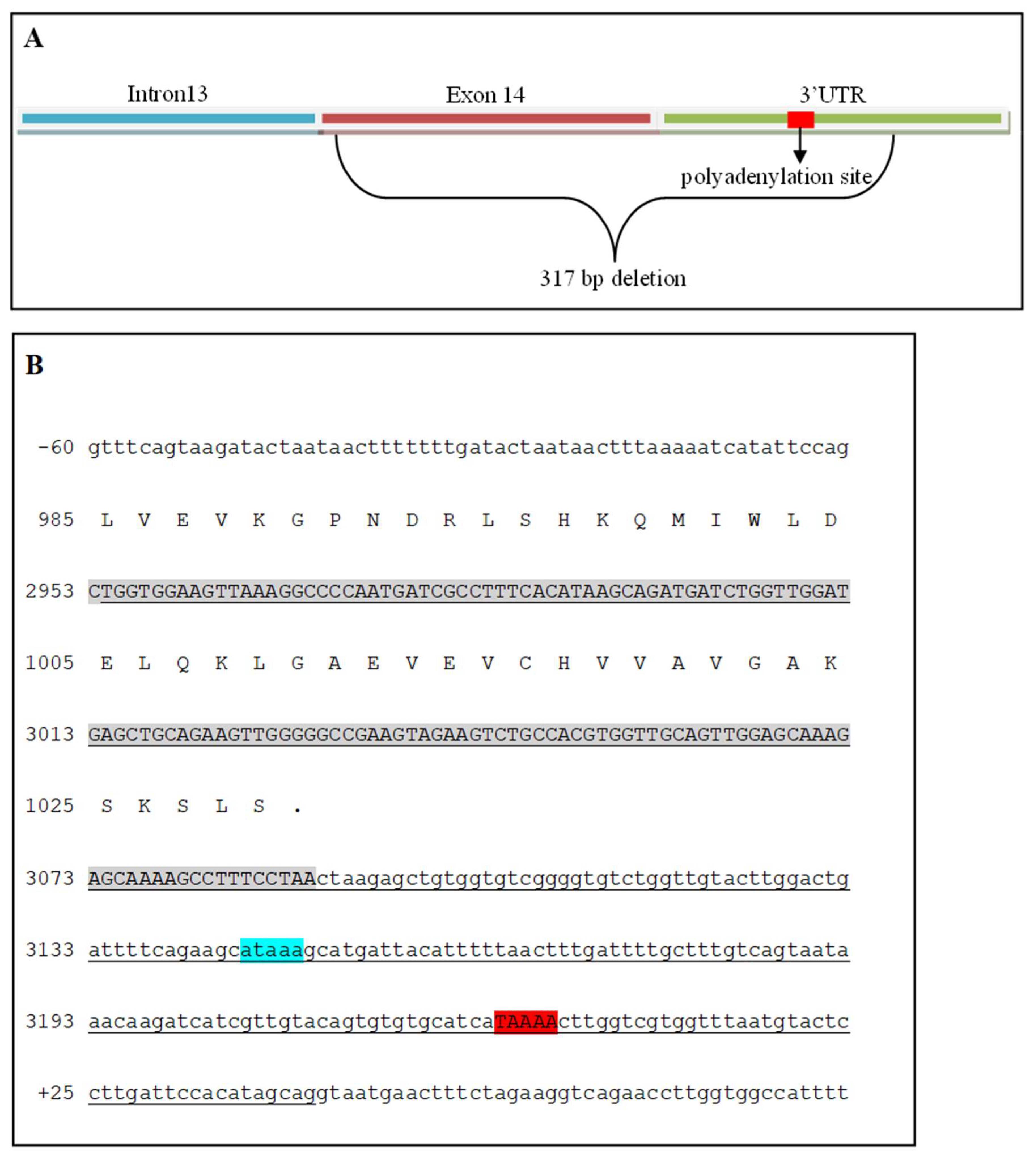 Preprints 137417 g005