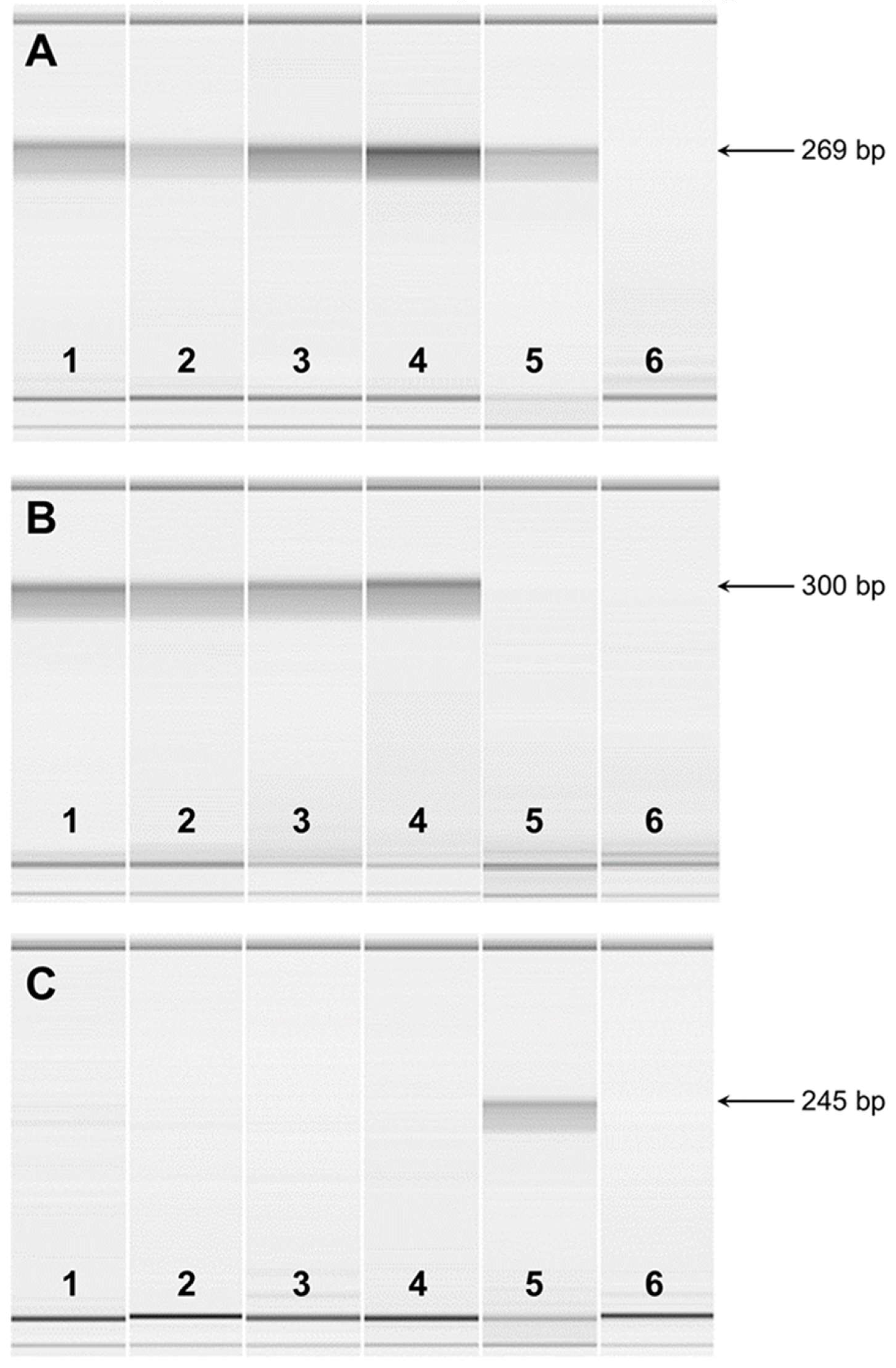 Preprints 137417 g006