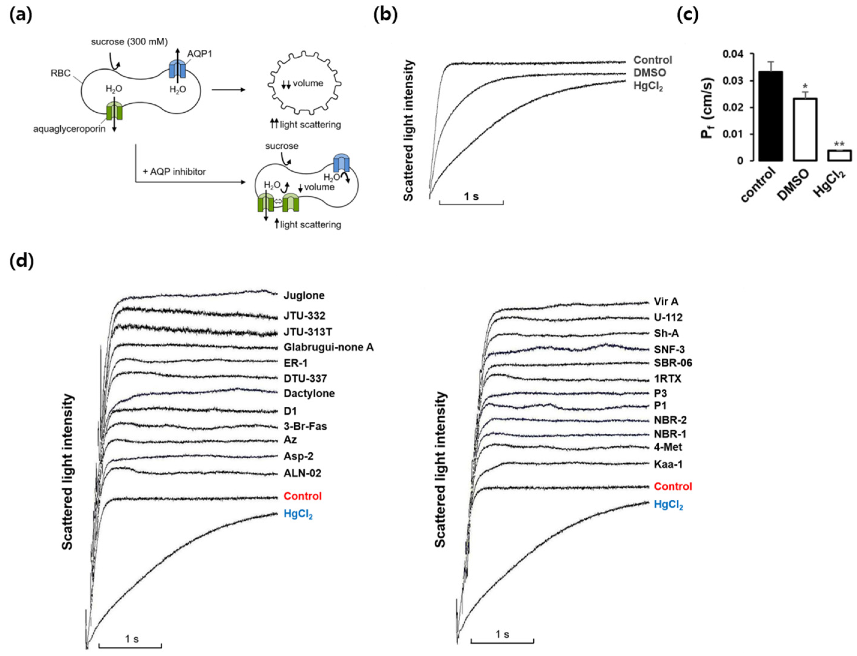 Preprints 110835 g001