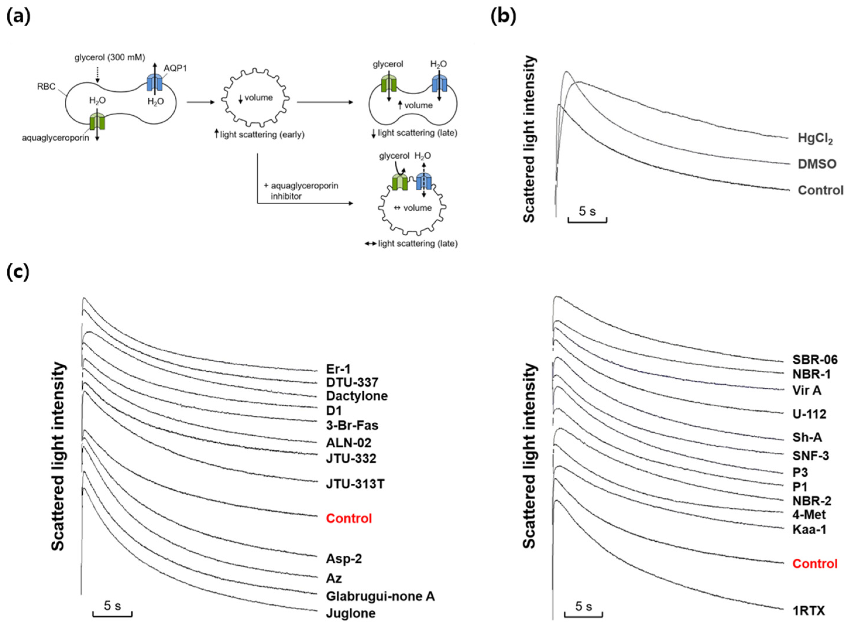 Preprints 110835 g002