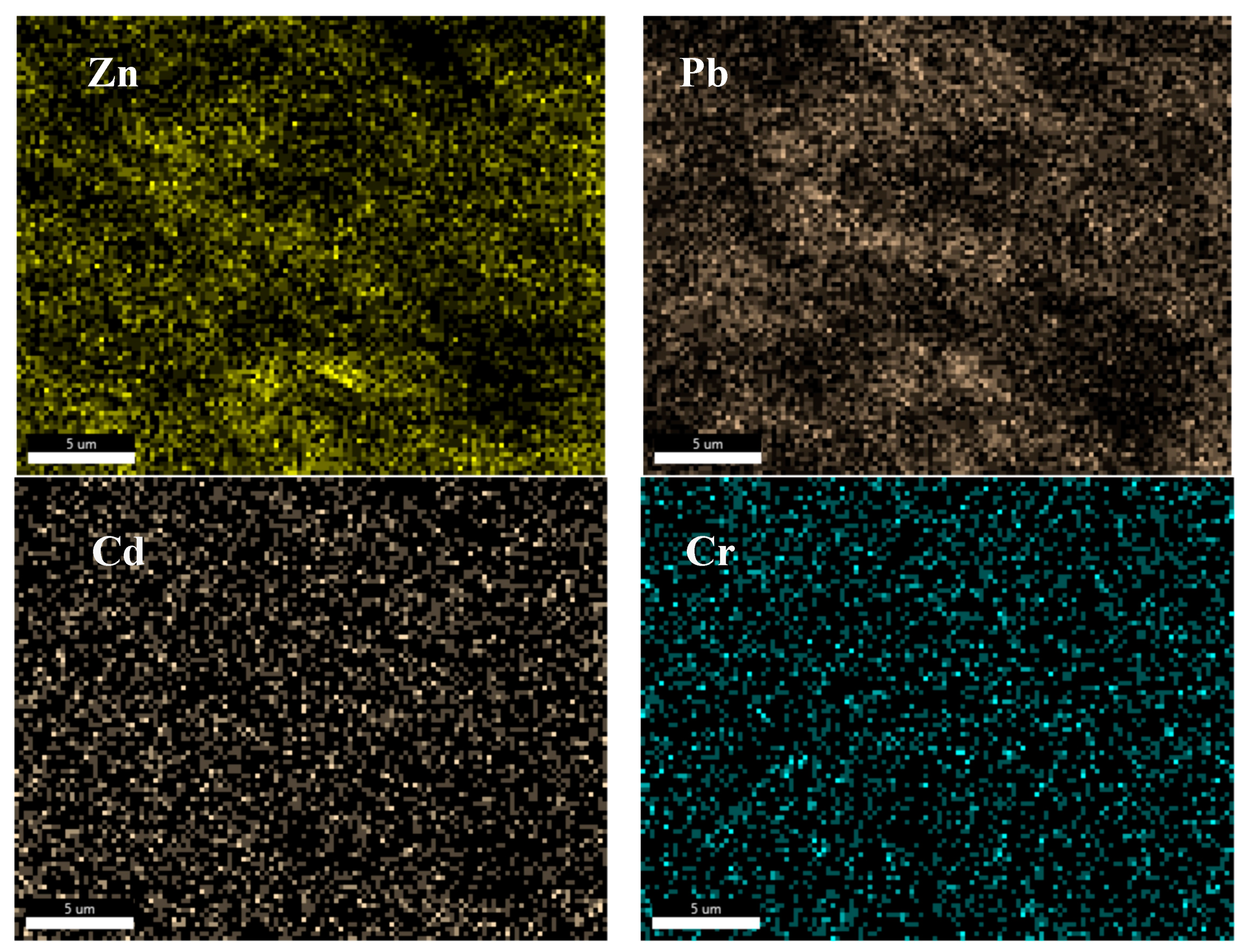 Preprints 81169 g012b