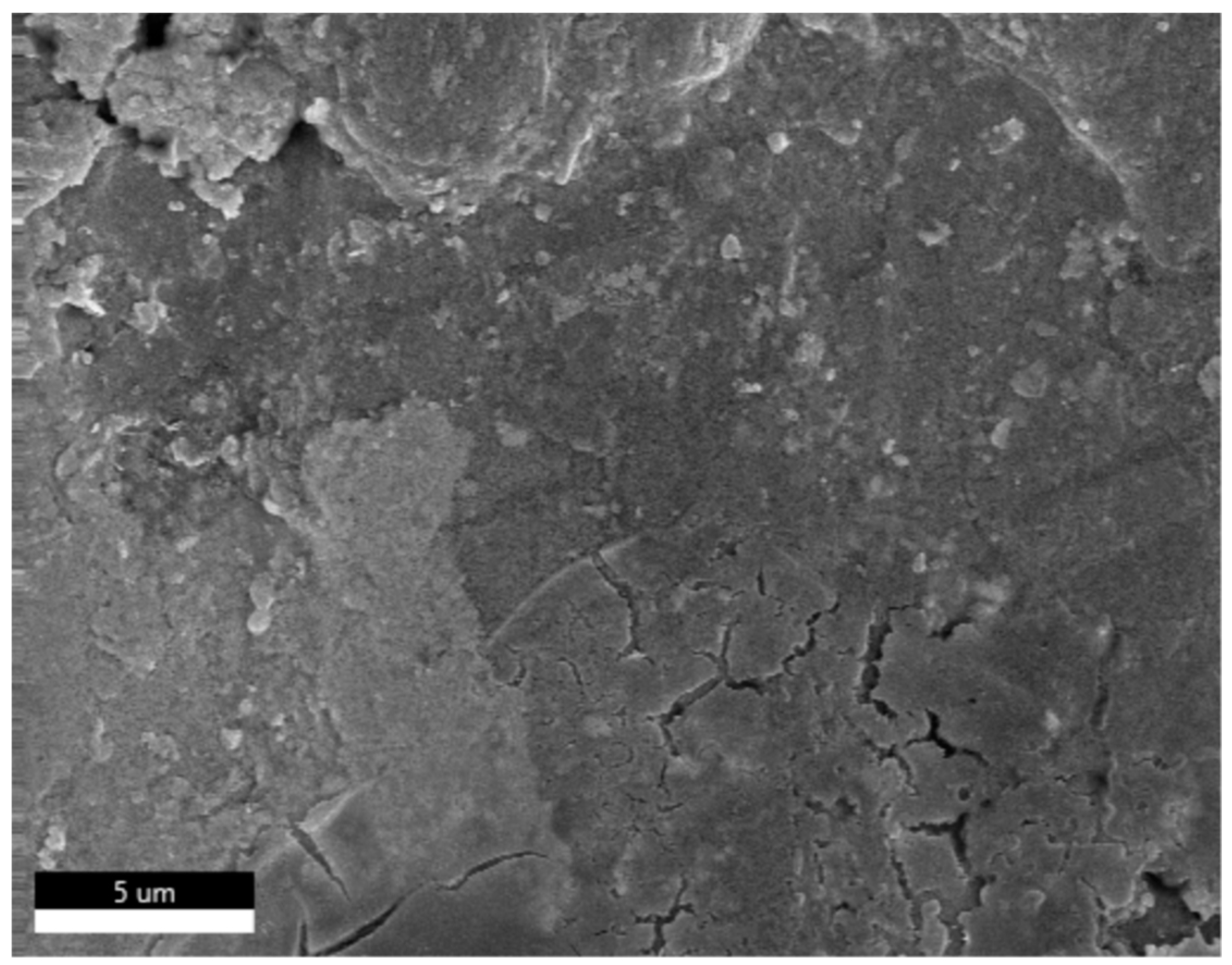 Preprints 81169 g013a