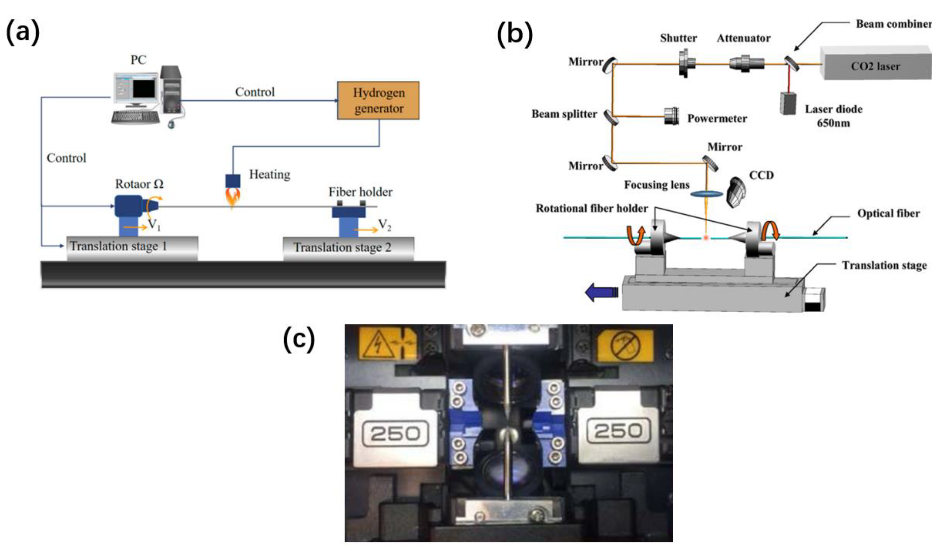 Preprints 81017 g003