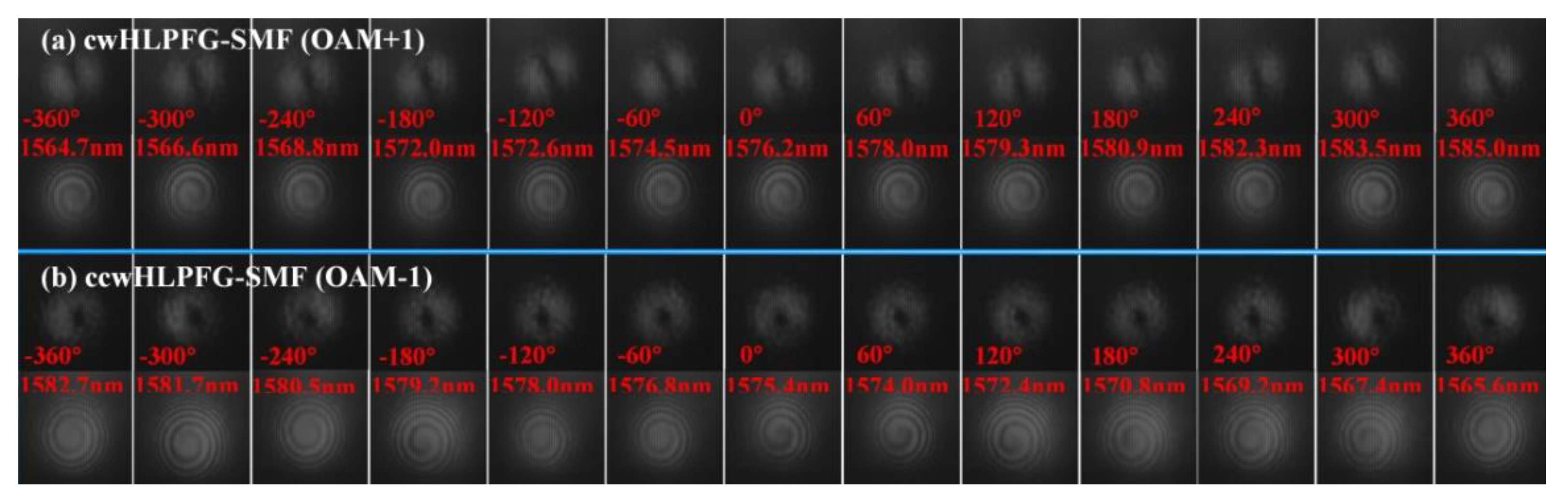 Preprints 81017 g008