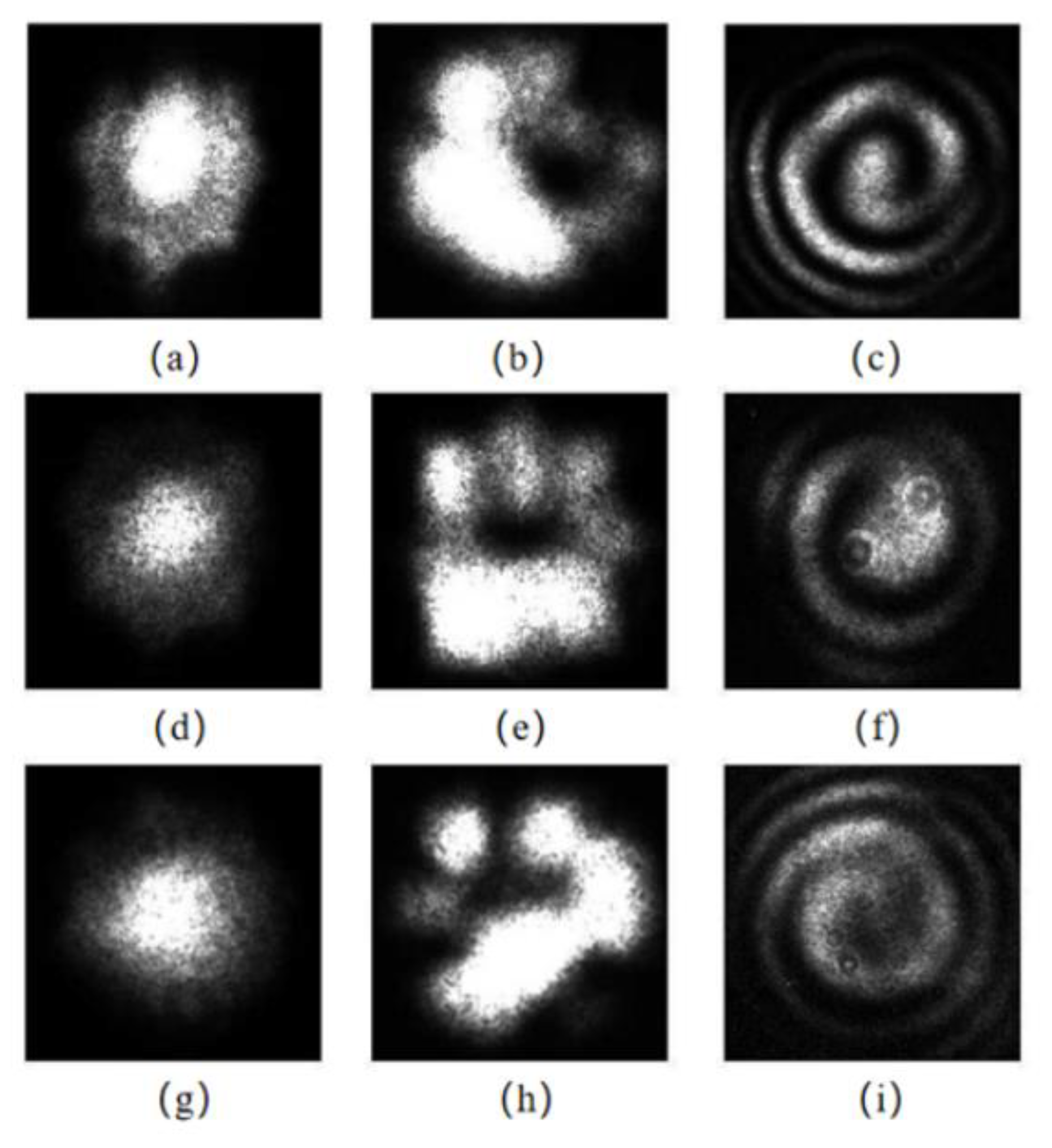 Preprints 81017 g014