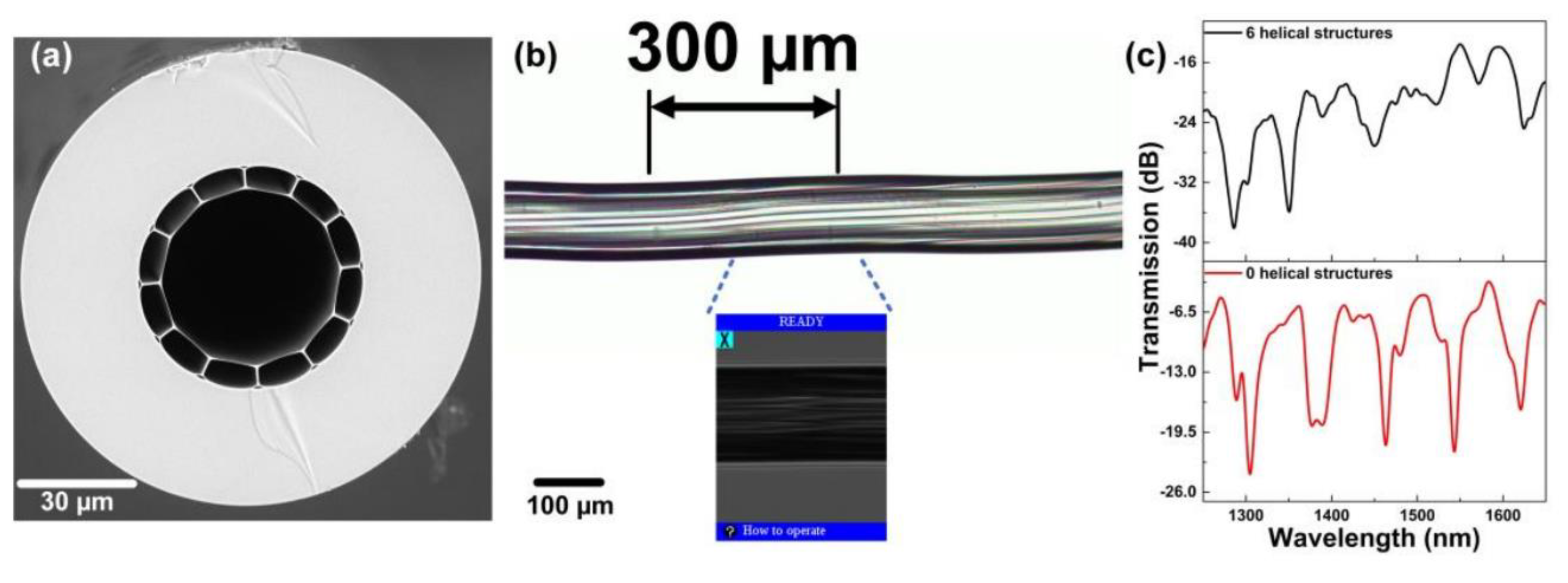 Preprints 81017 g015