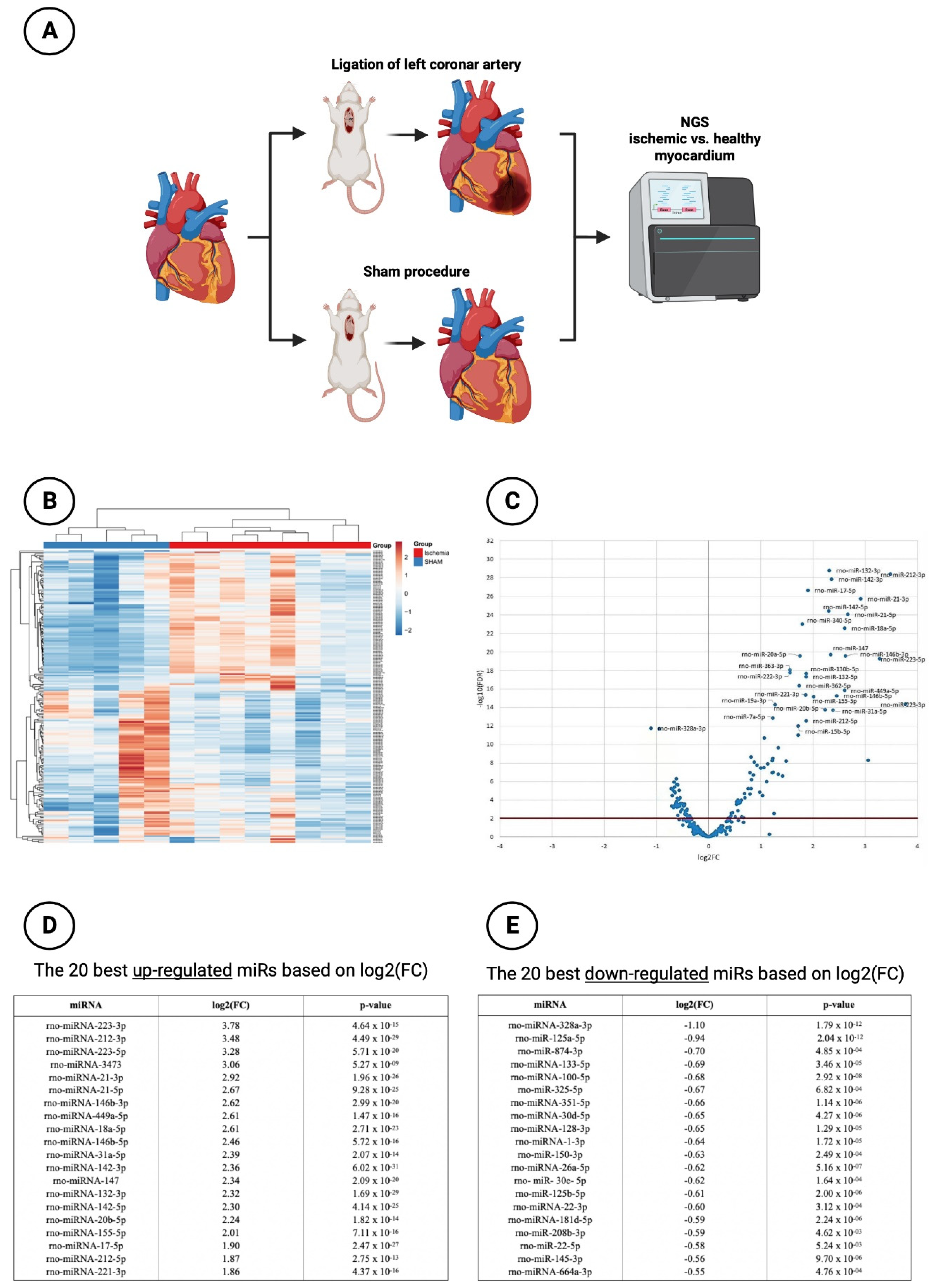 Preprints 84334 g001