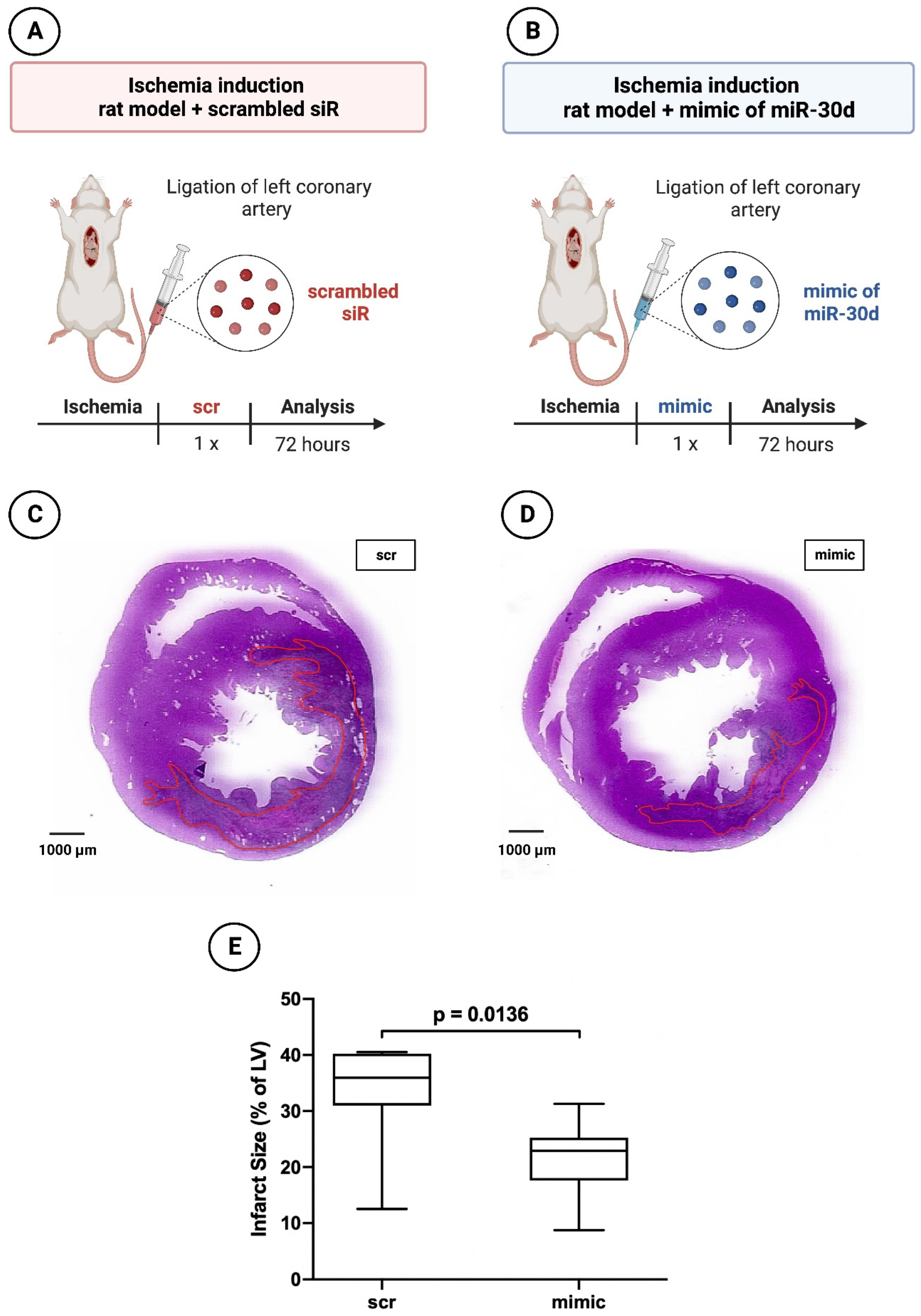 Preprints 84334 g002