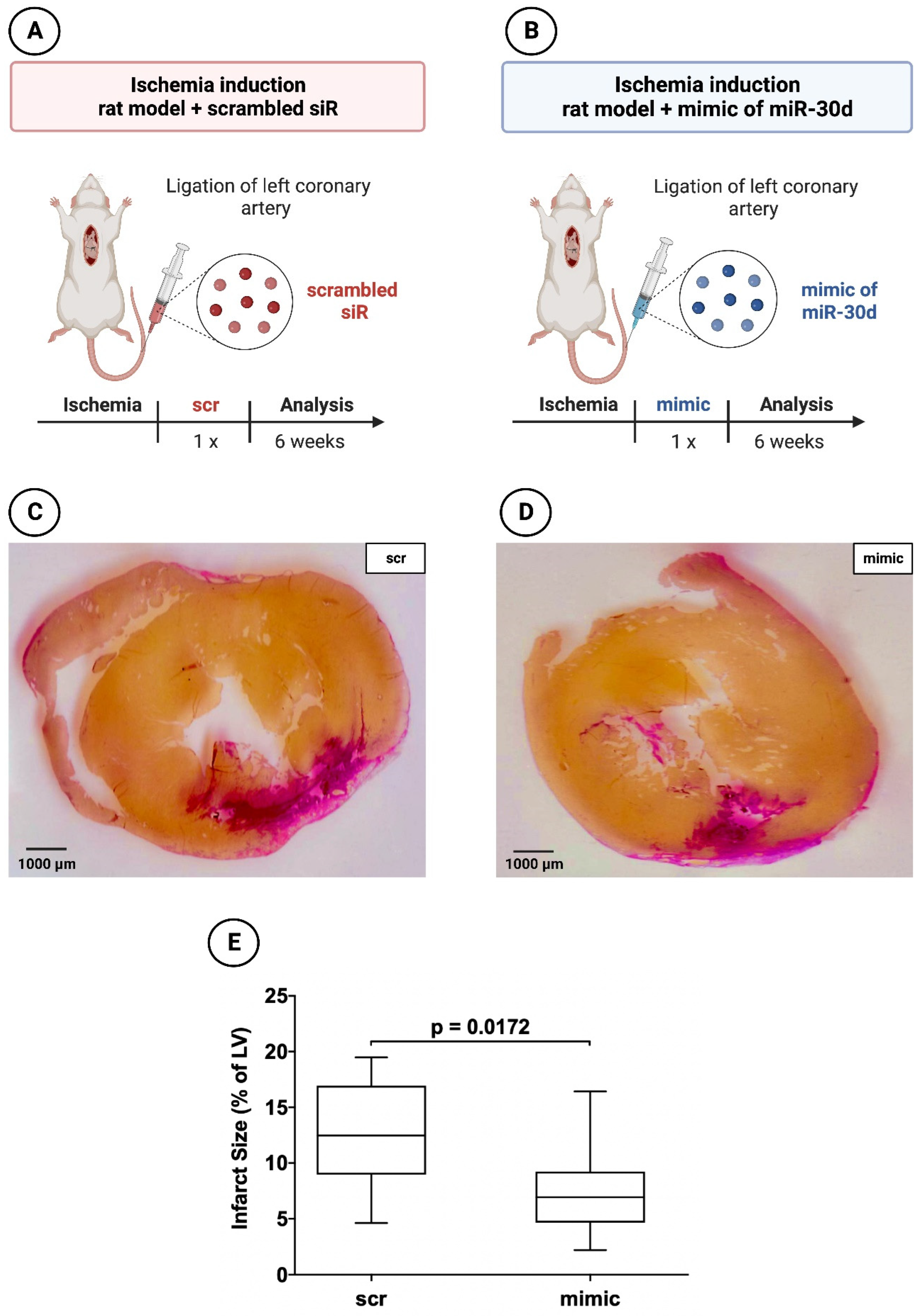 Preprints 84334 g003