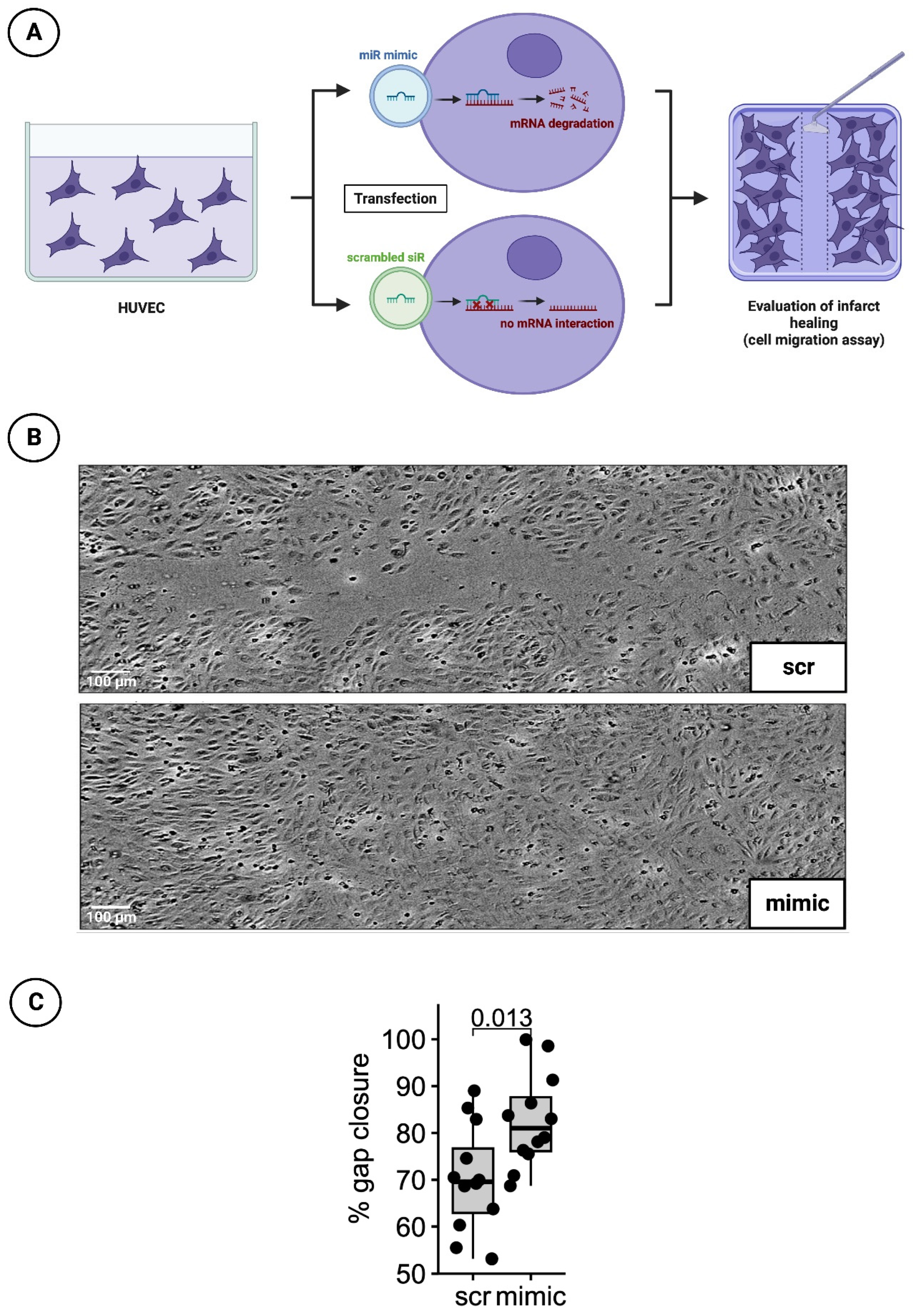 Preprints 84334 g004