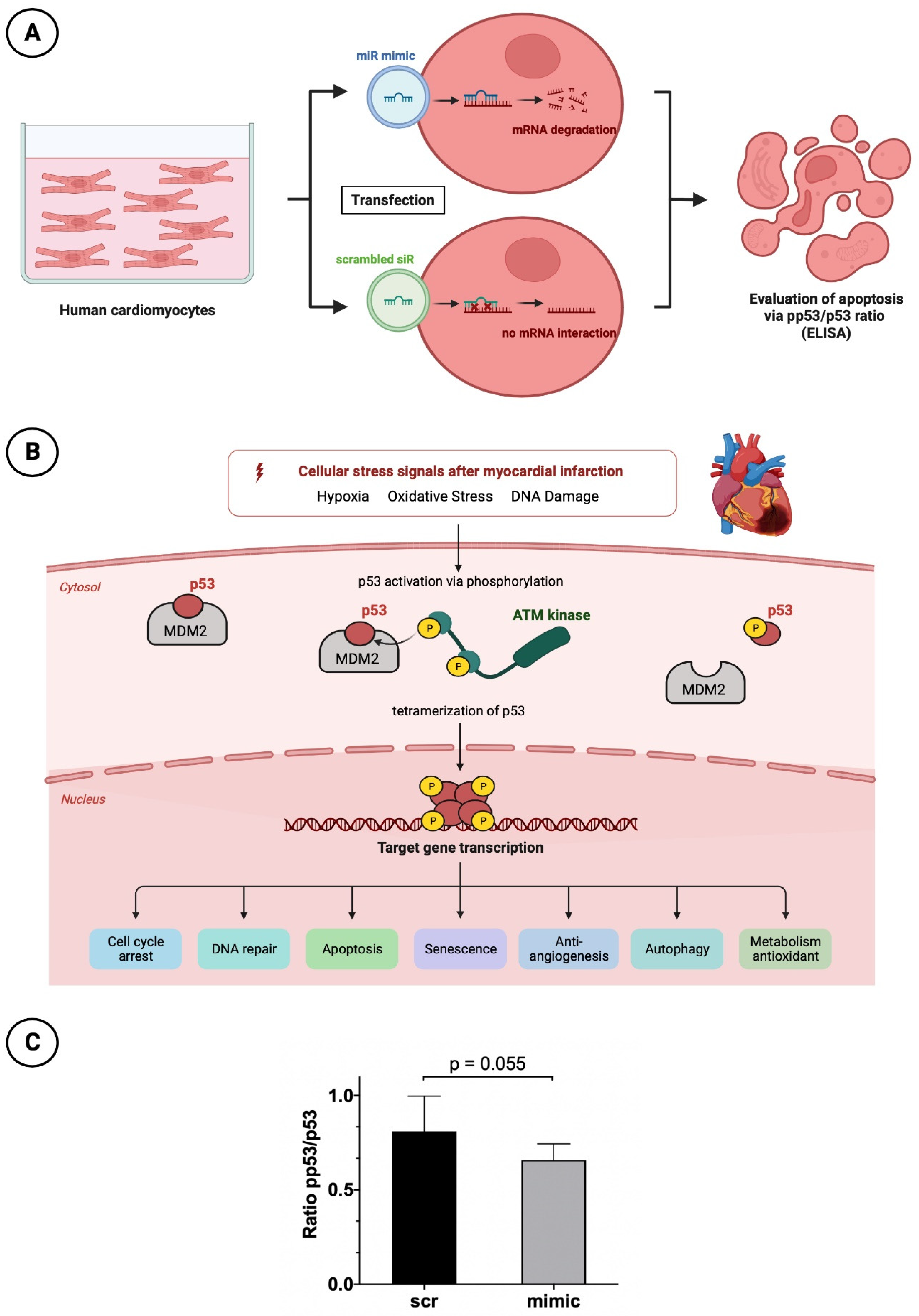 Preprints 84334 g005