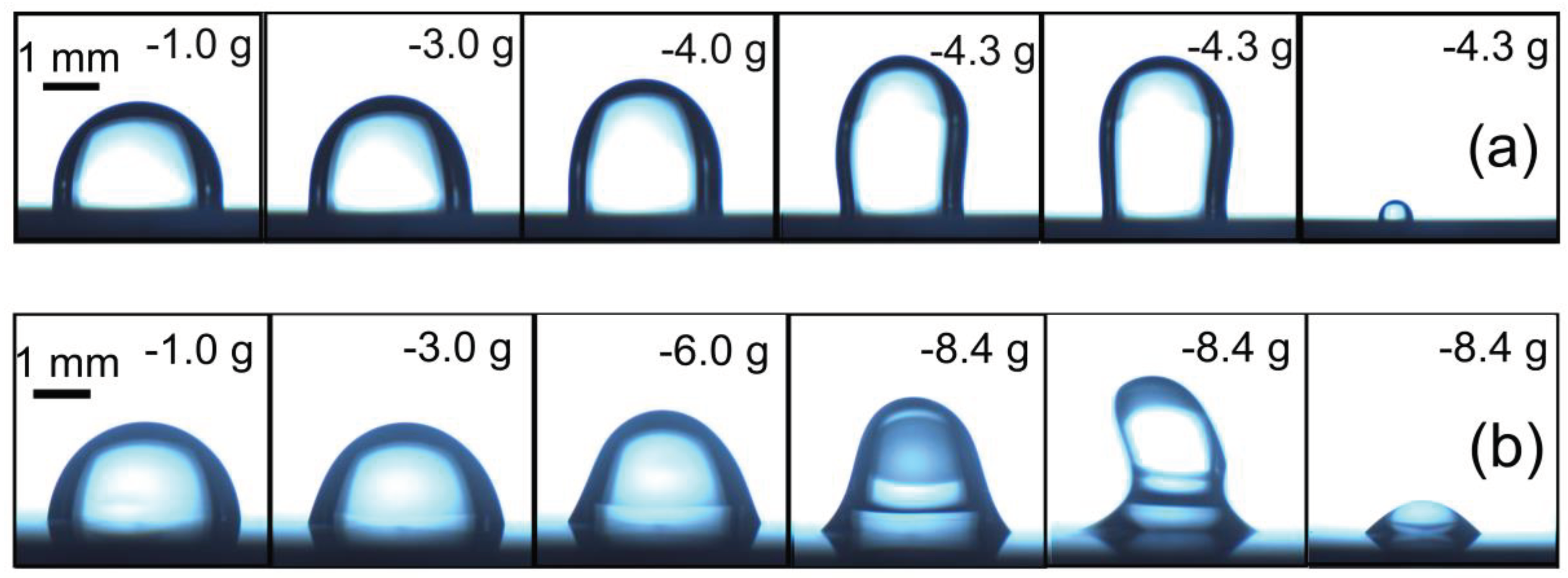 Preprints 75392 g010b