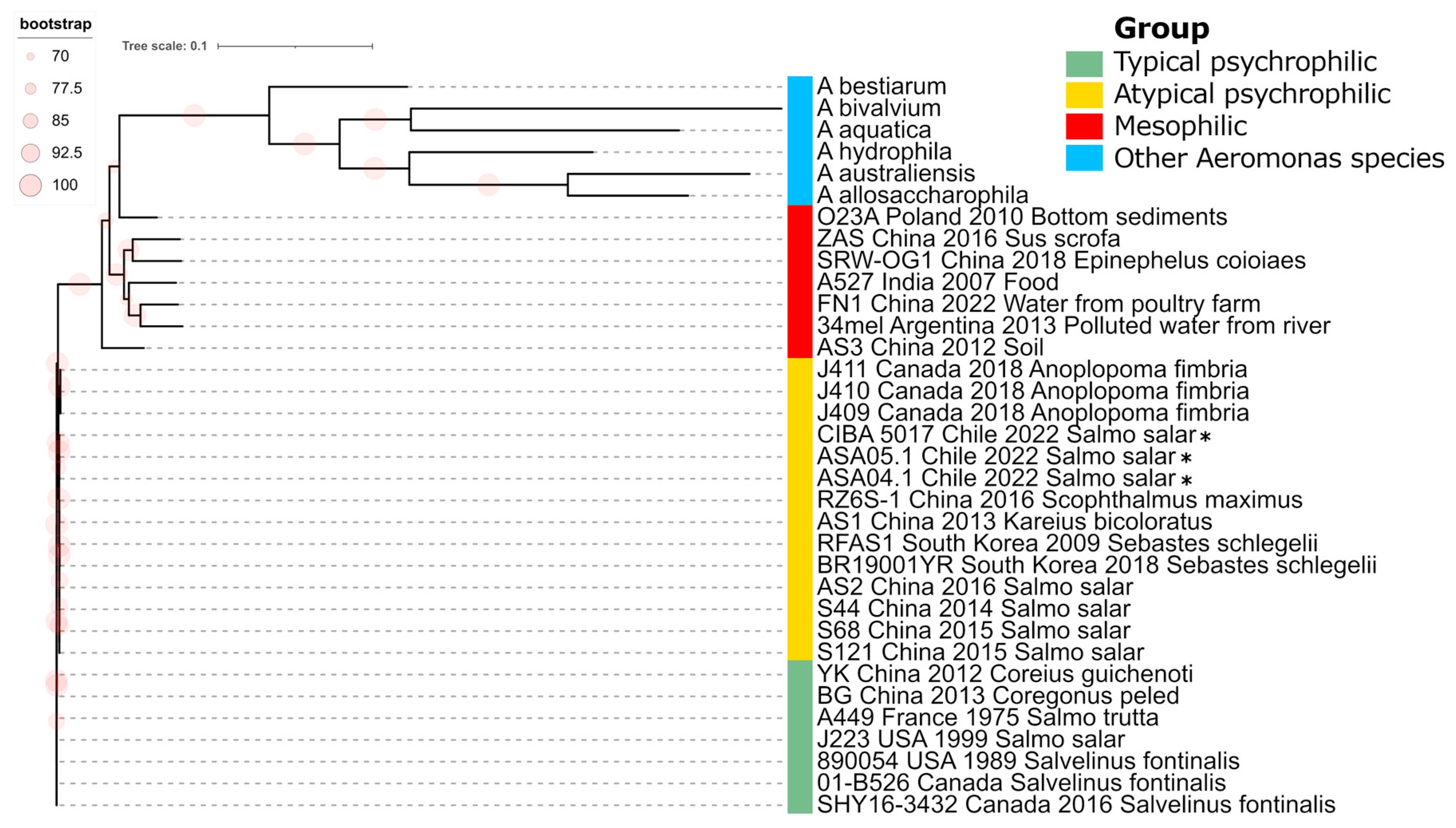 Preprints 91994 g005