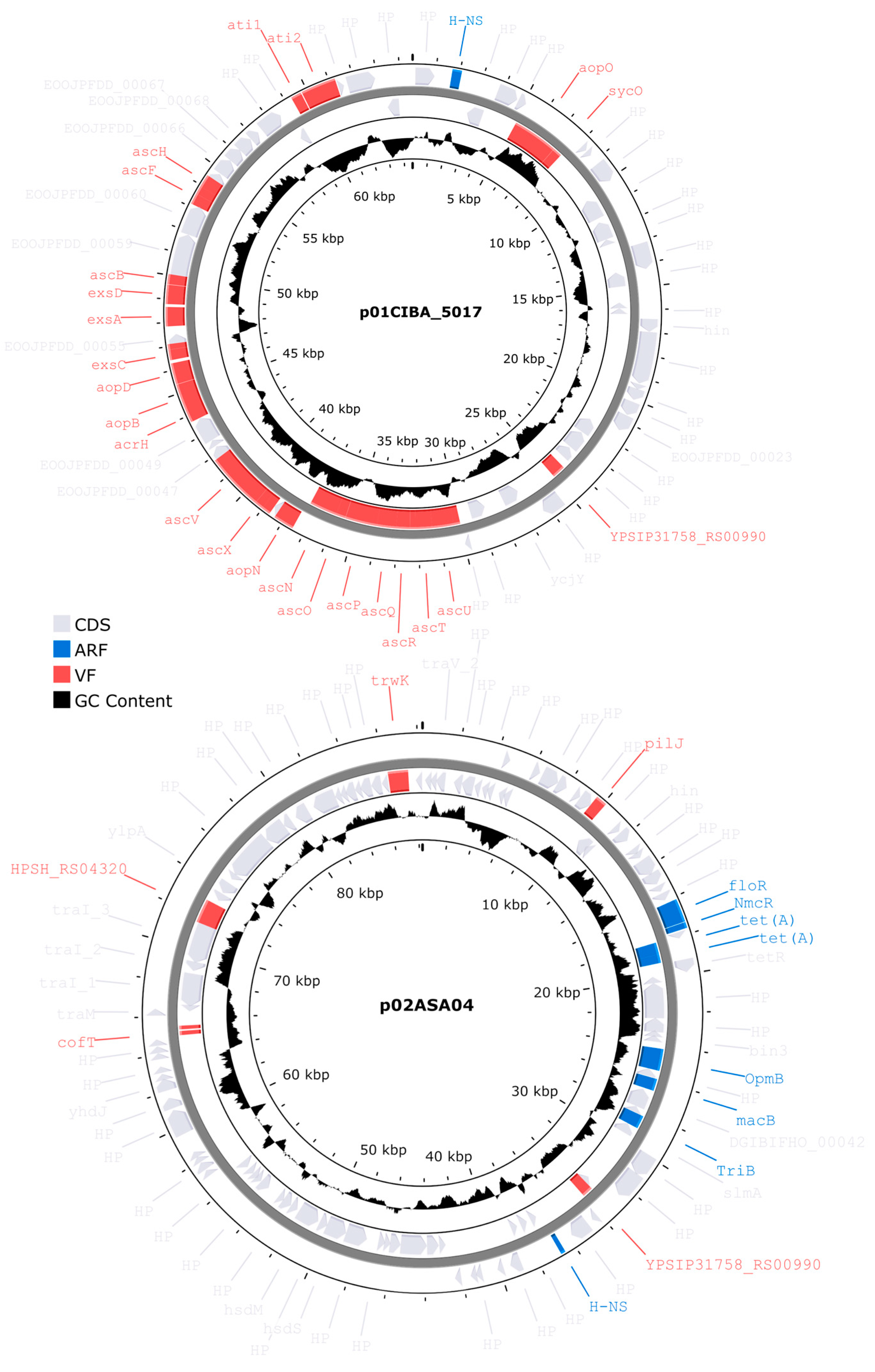 Preprints 91994 g008