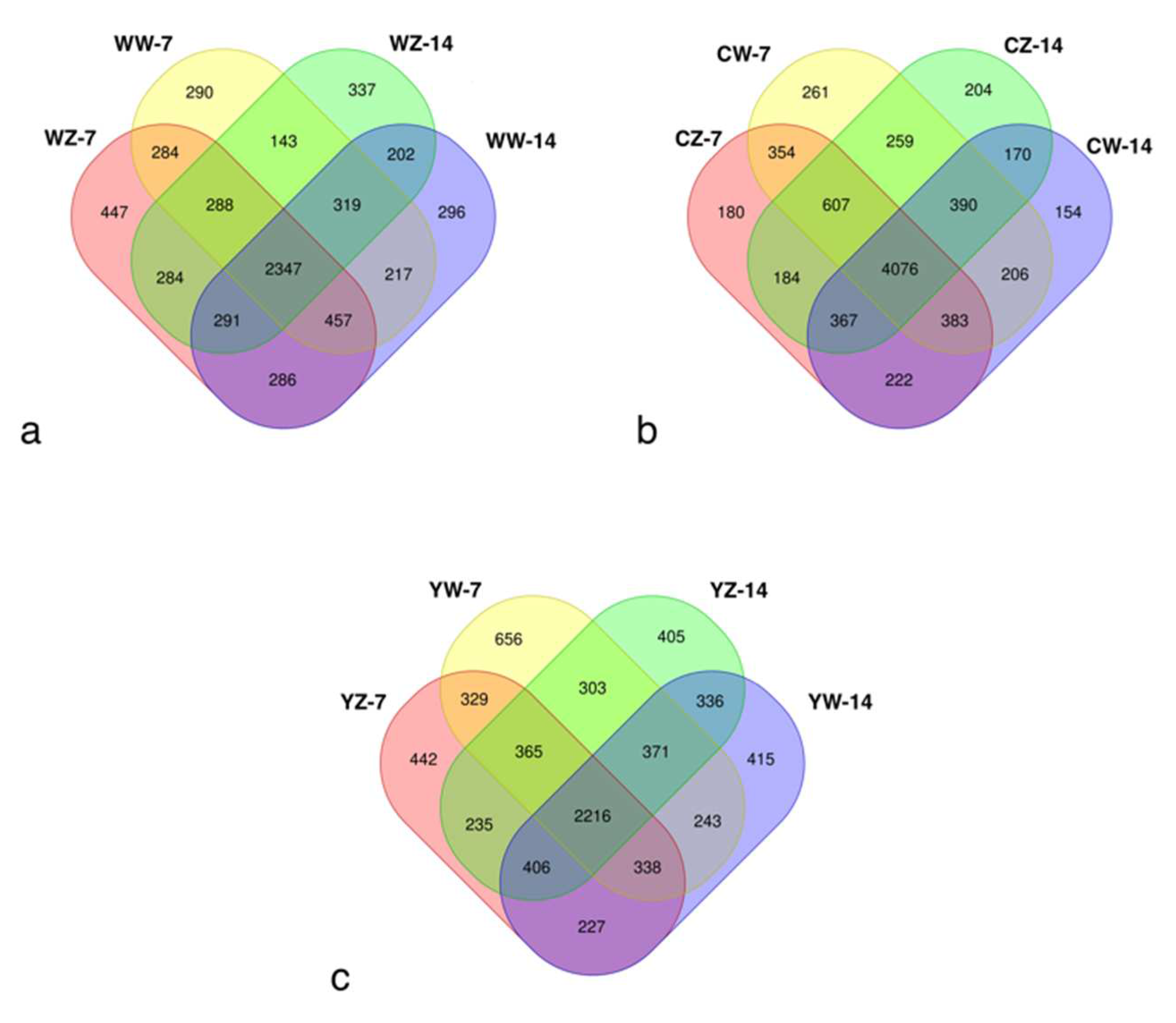 Preprints 97196 g002