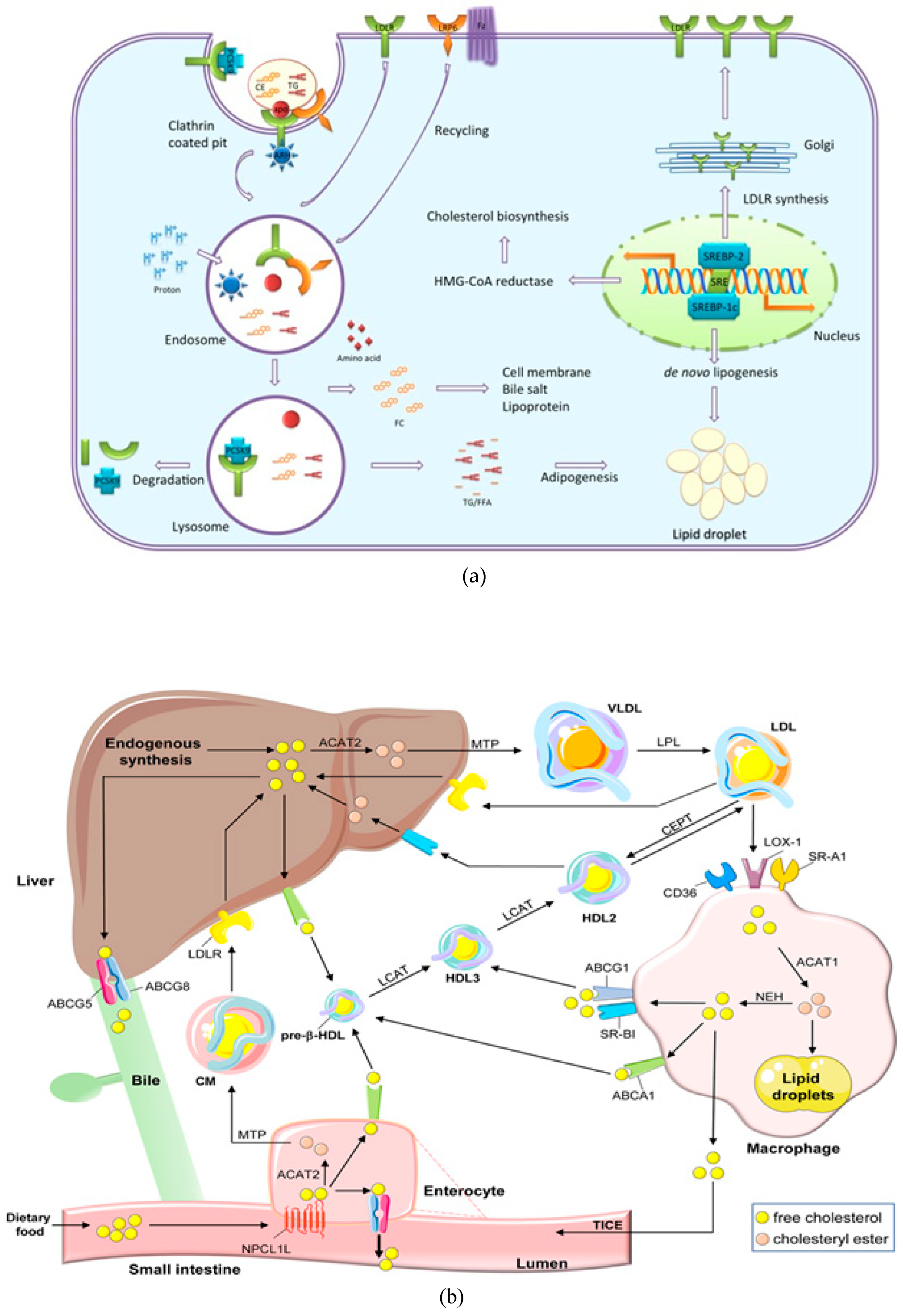 Preprints 83388 g001