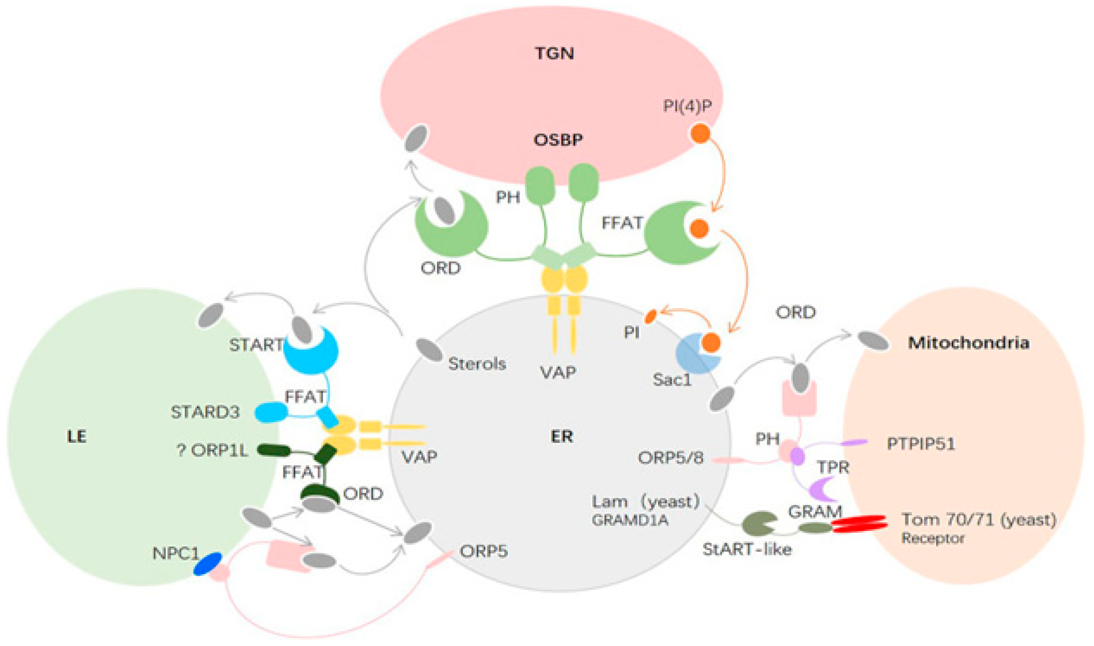 Preprints 83388 g006