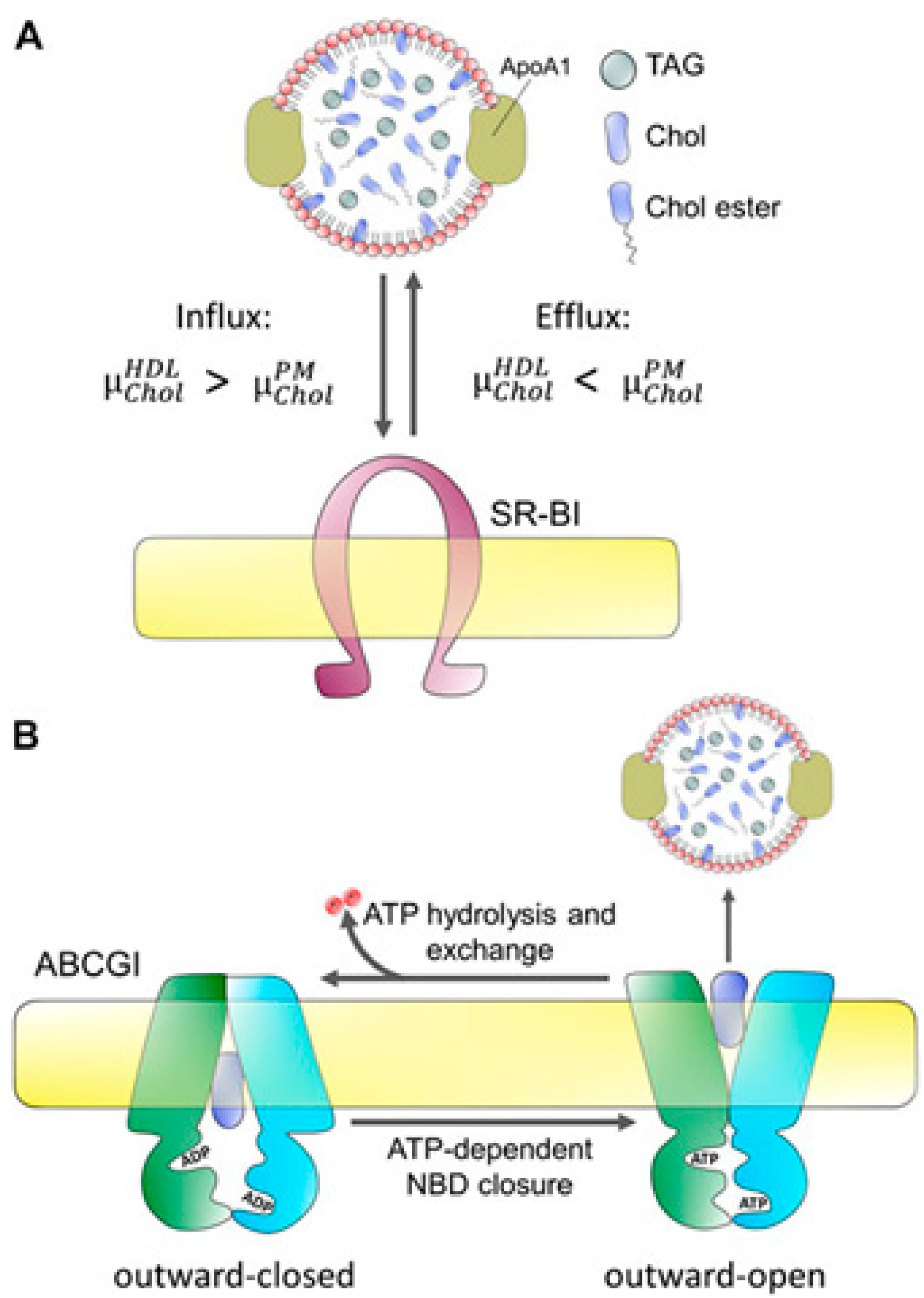 Preprints 83388 g010