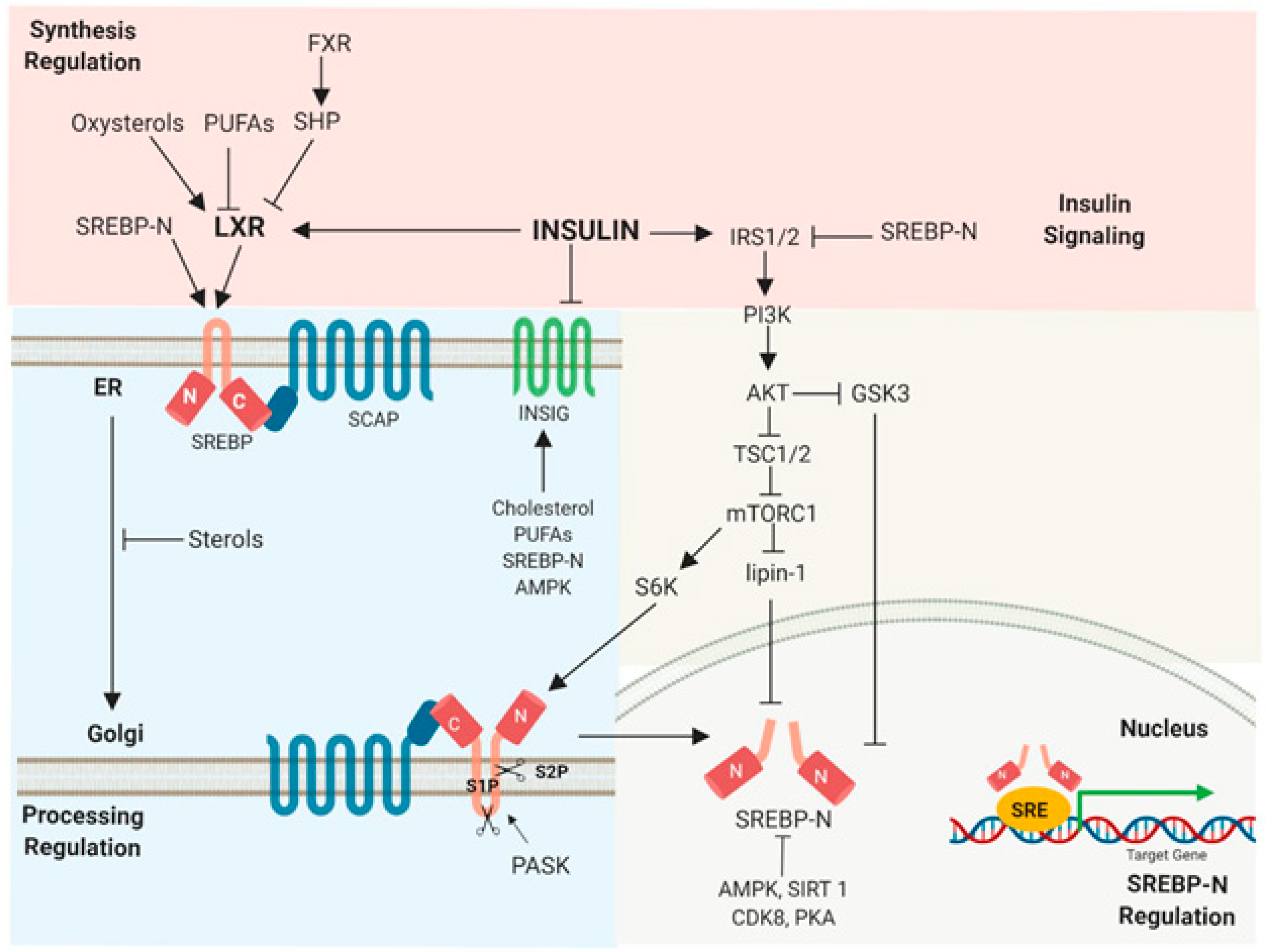 Preprints 83388 g011