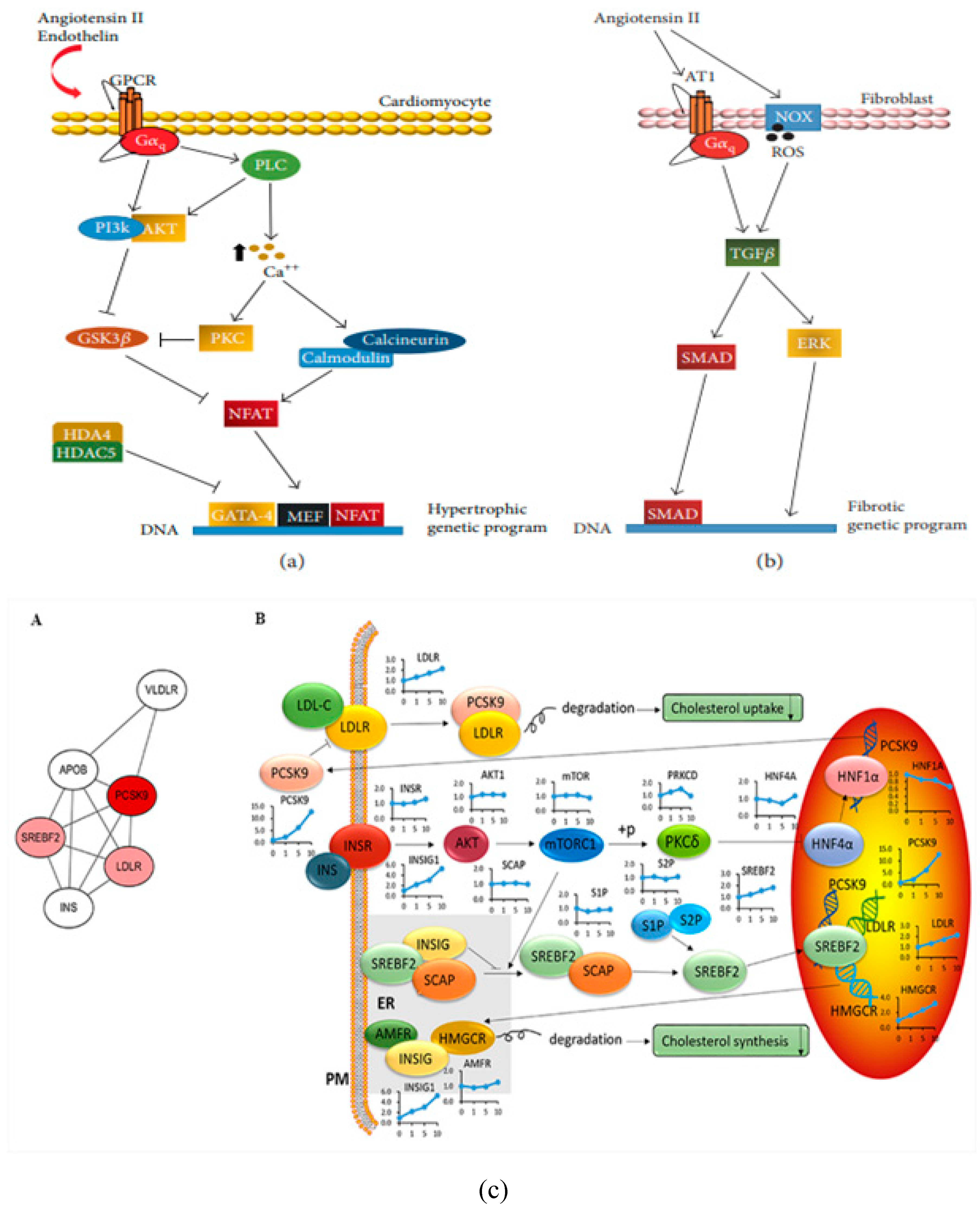 Preprints 83388 g012