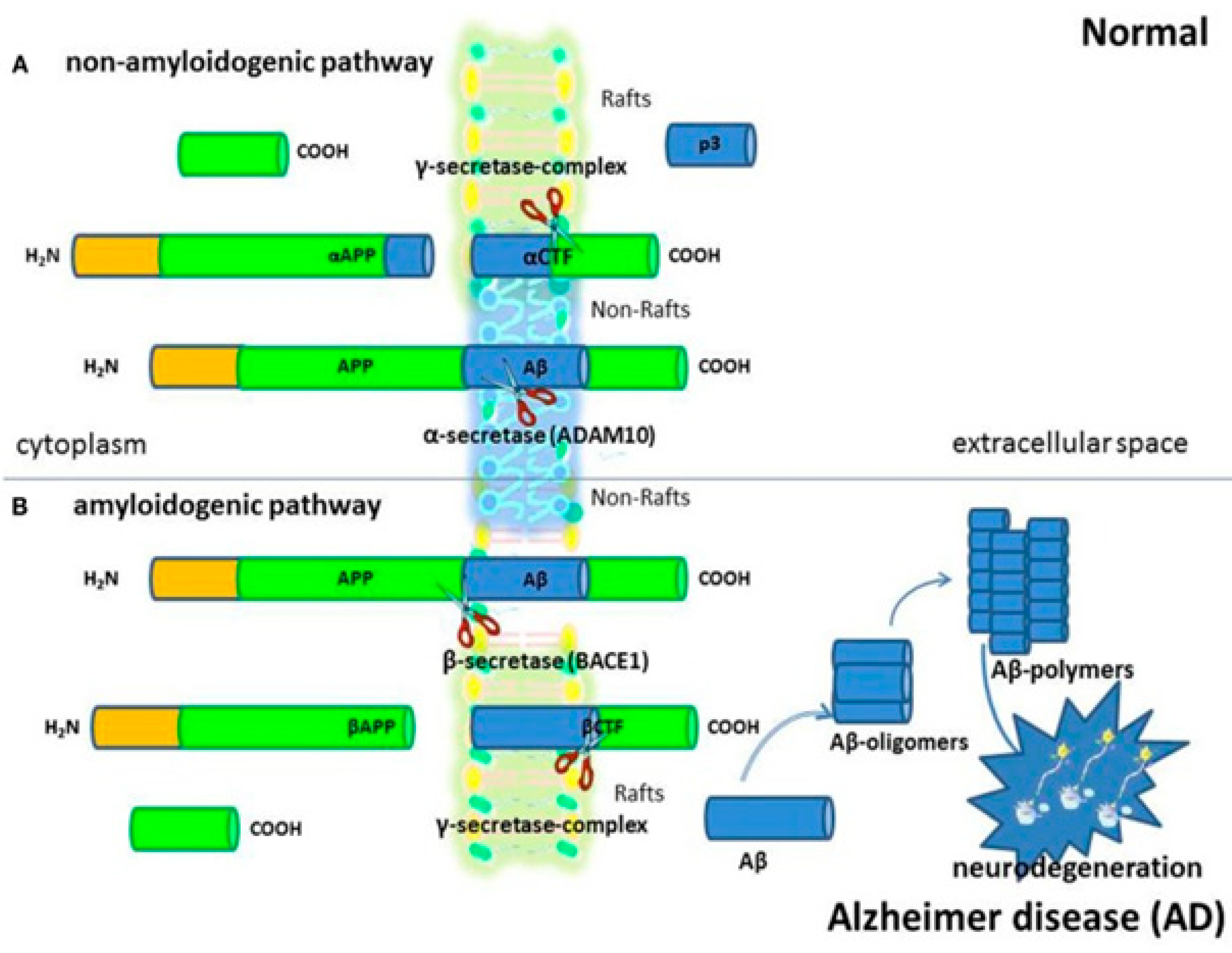 Preprints 83388 g014