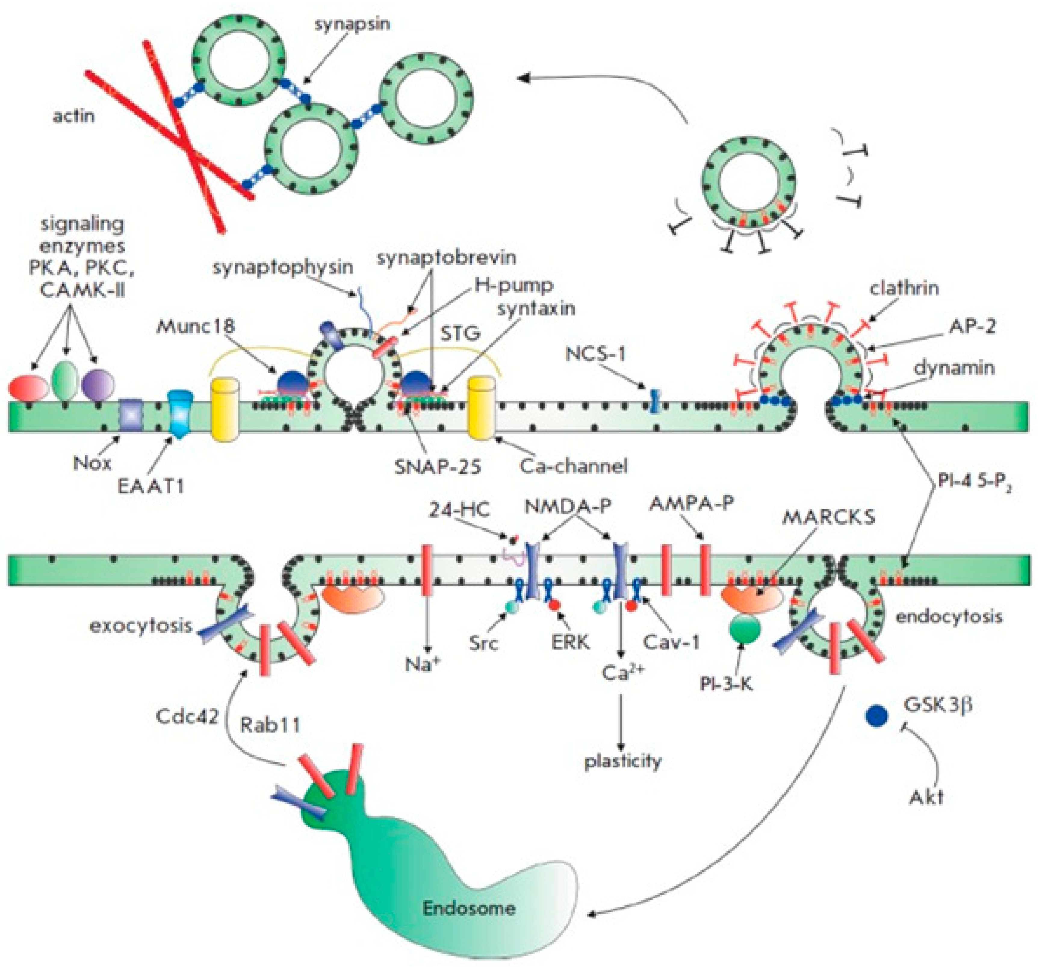 Preprints 83388 g015