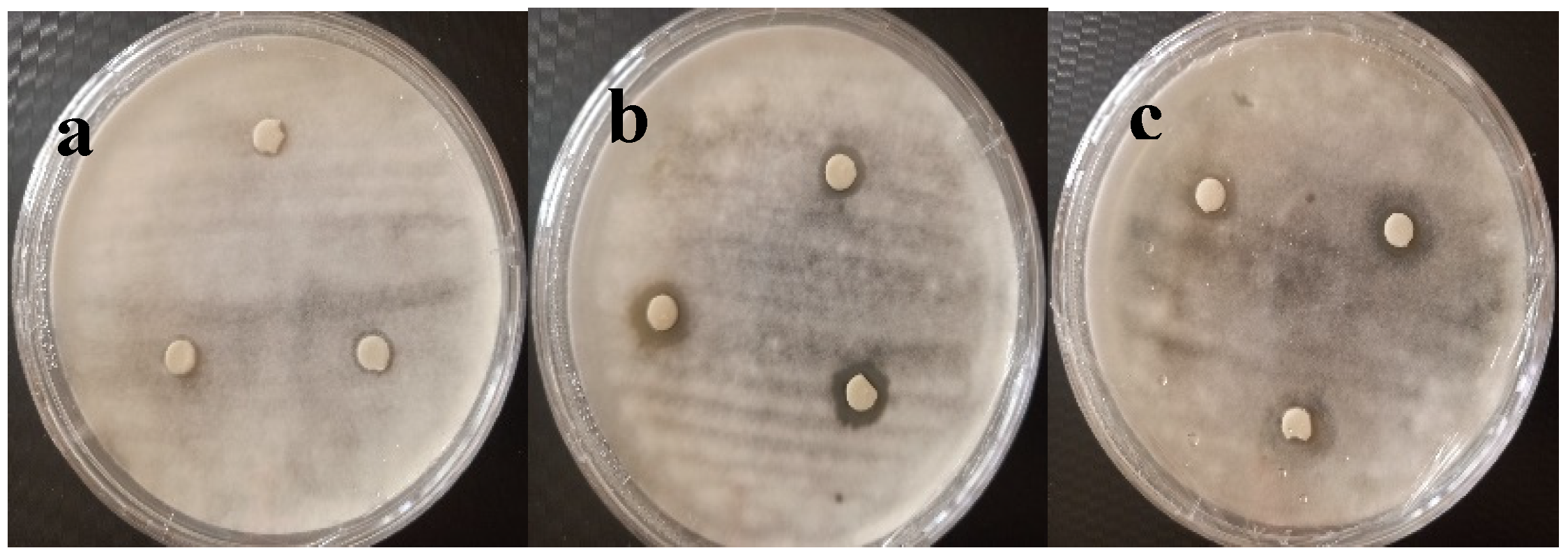 Preprints 98278 g002