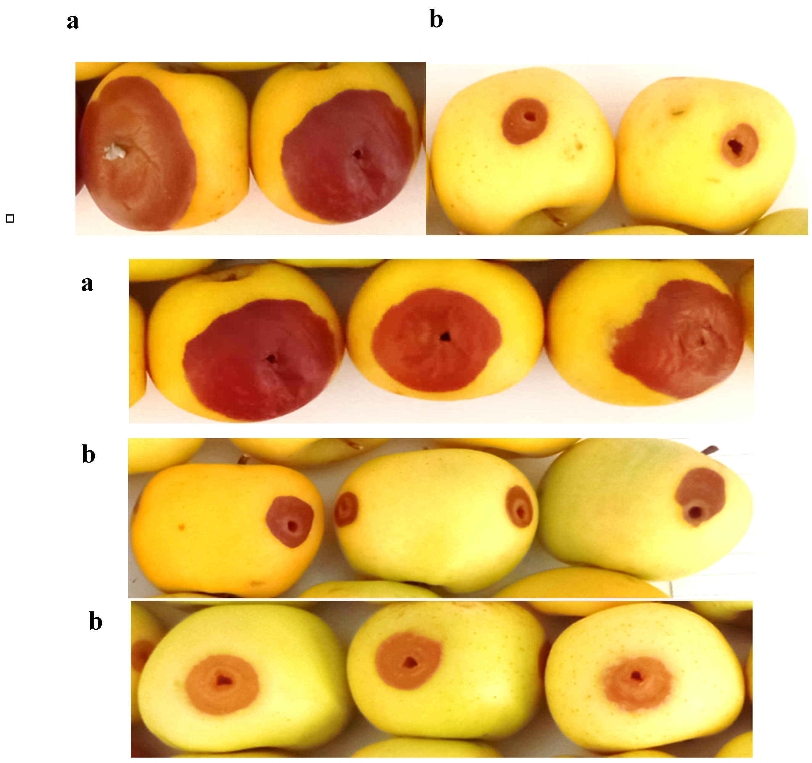 Preprints 98278 g003