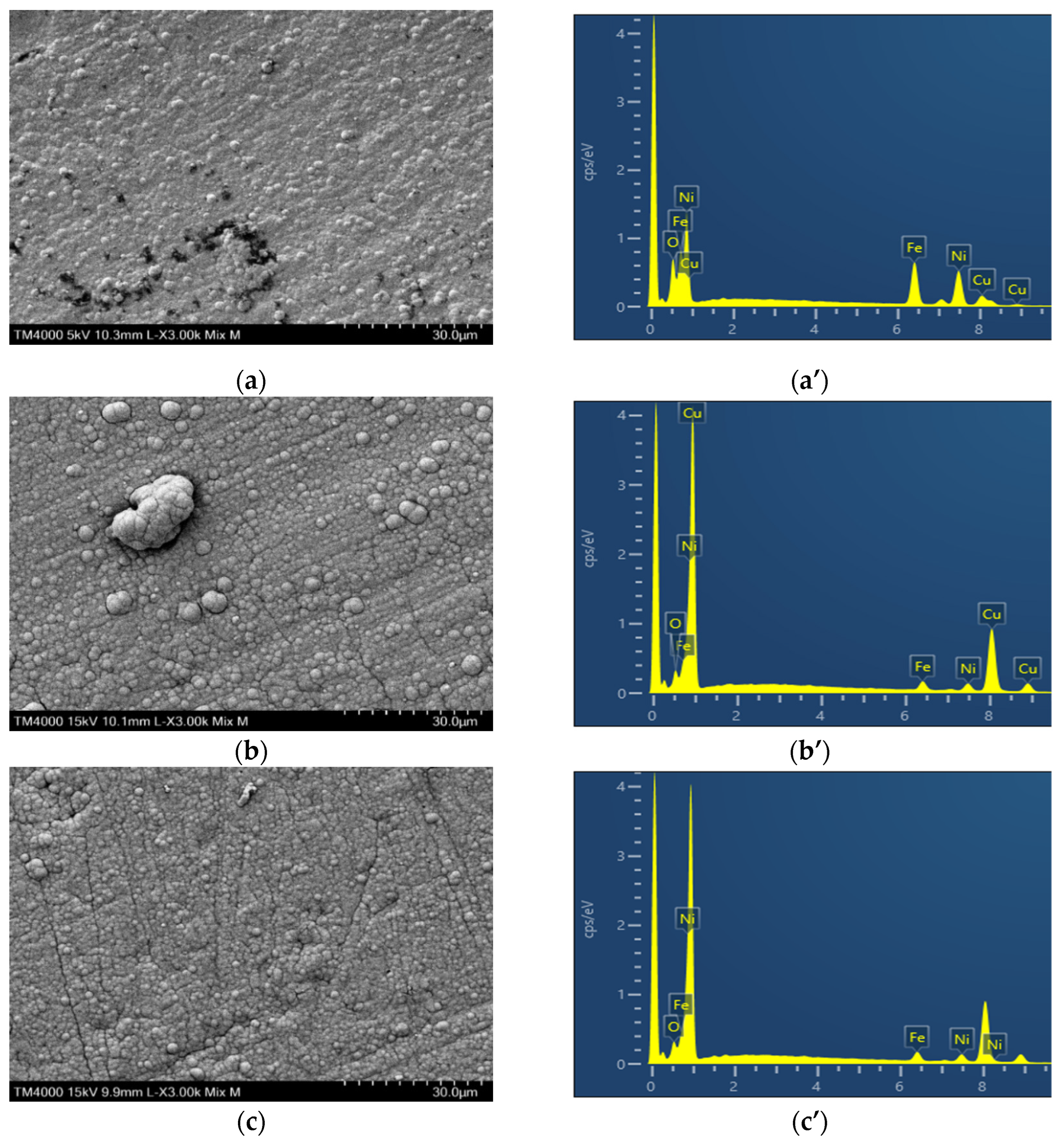 Preprints 138729 g002a