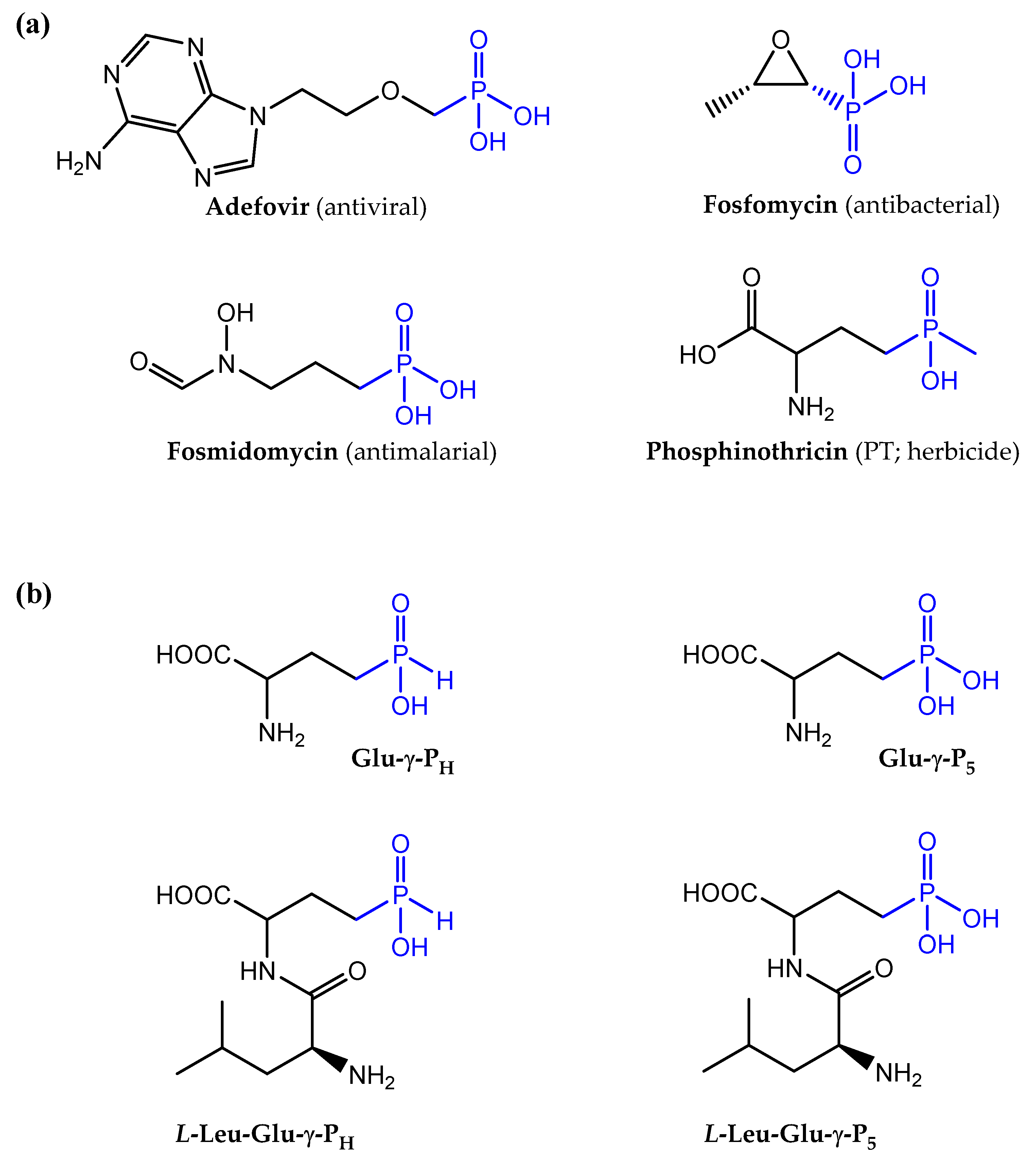 Preprints 83648 g001