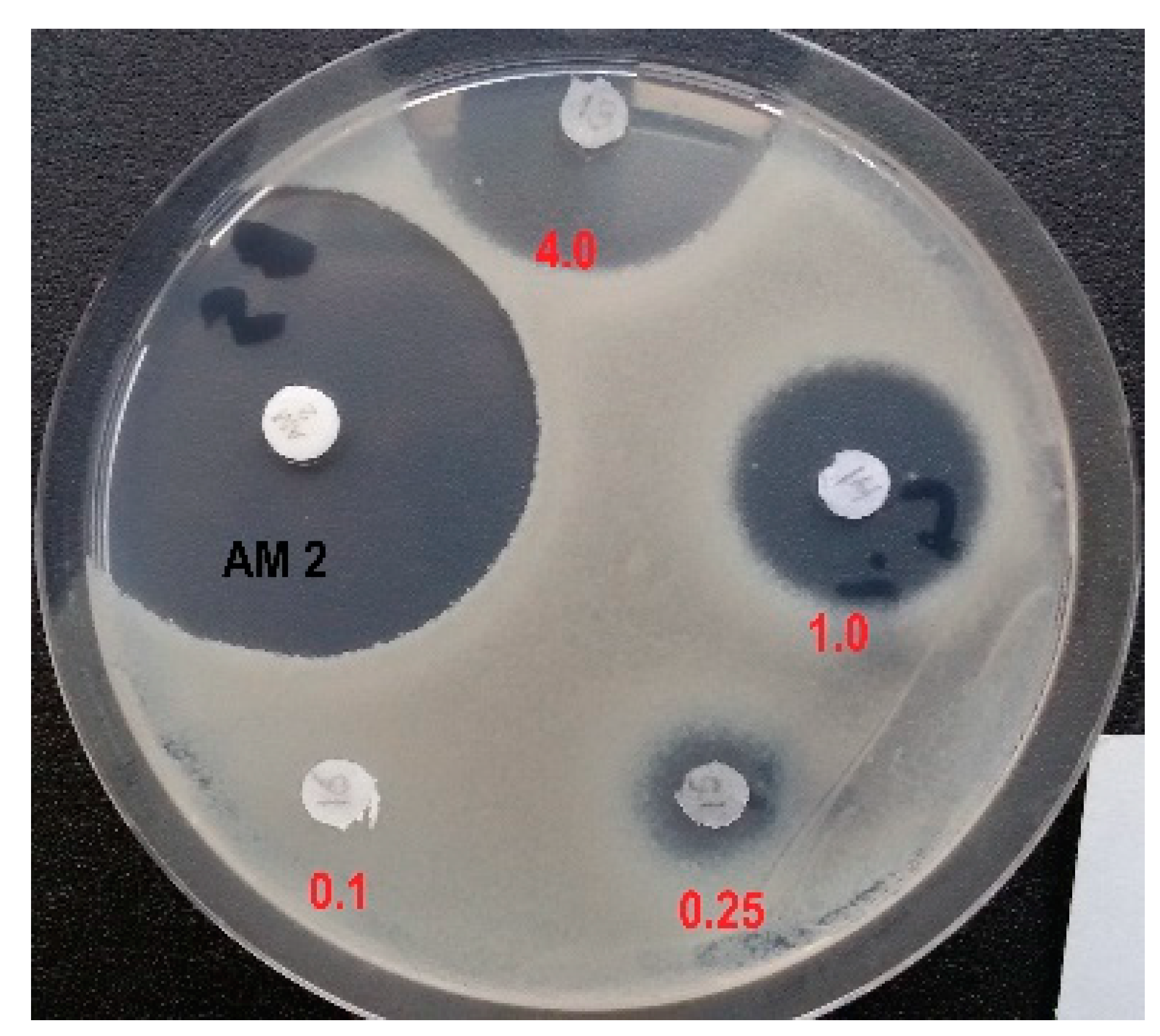 Preprints 83648 g003