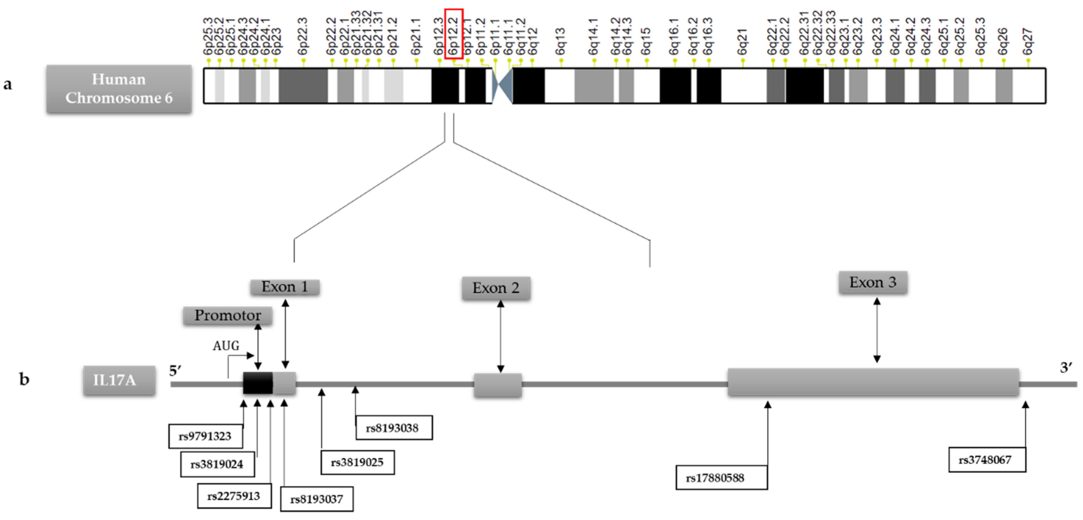 Preprints 72259 g002