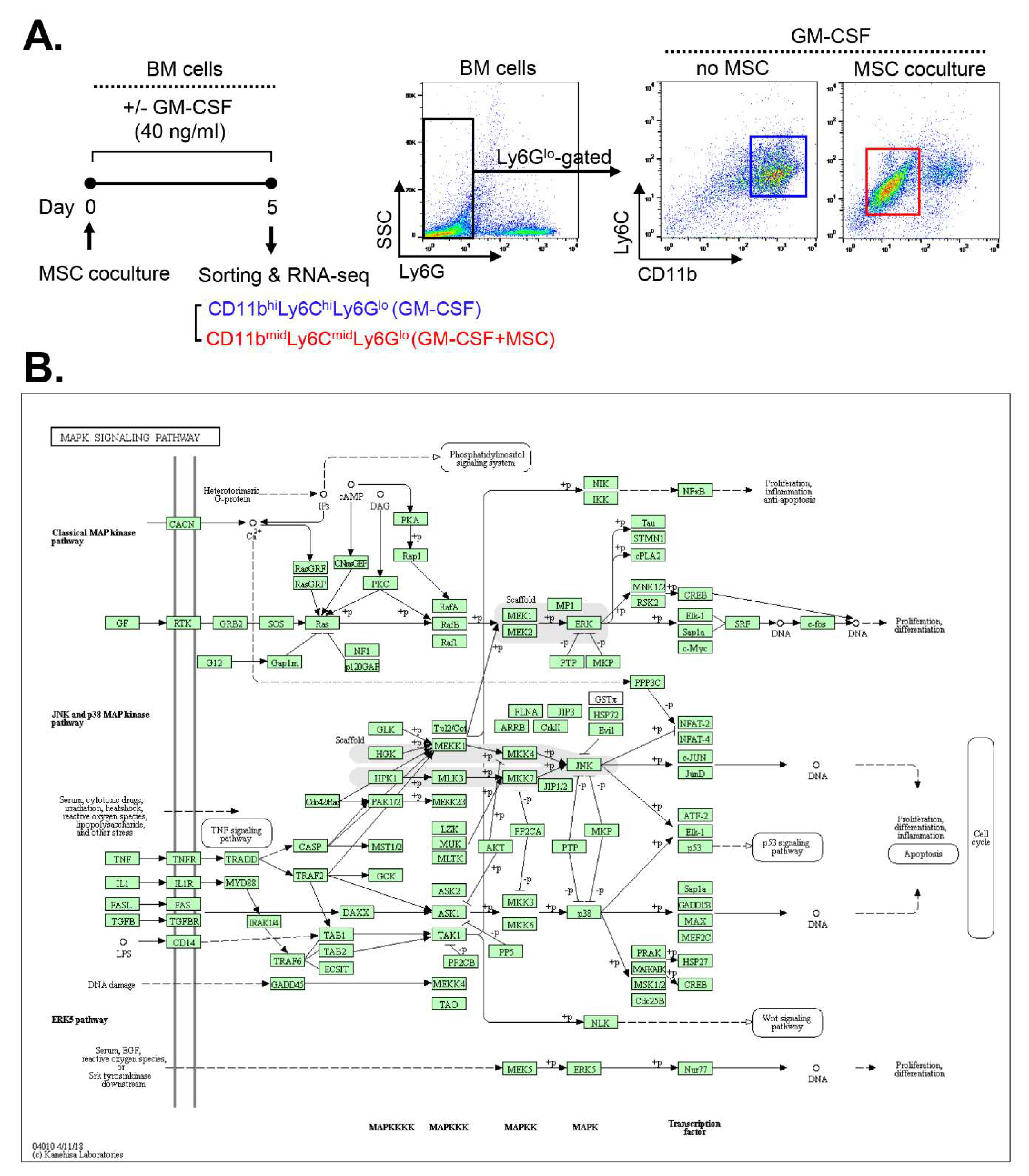 Preprints 94593 g001